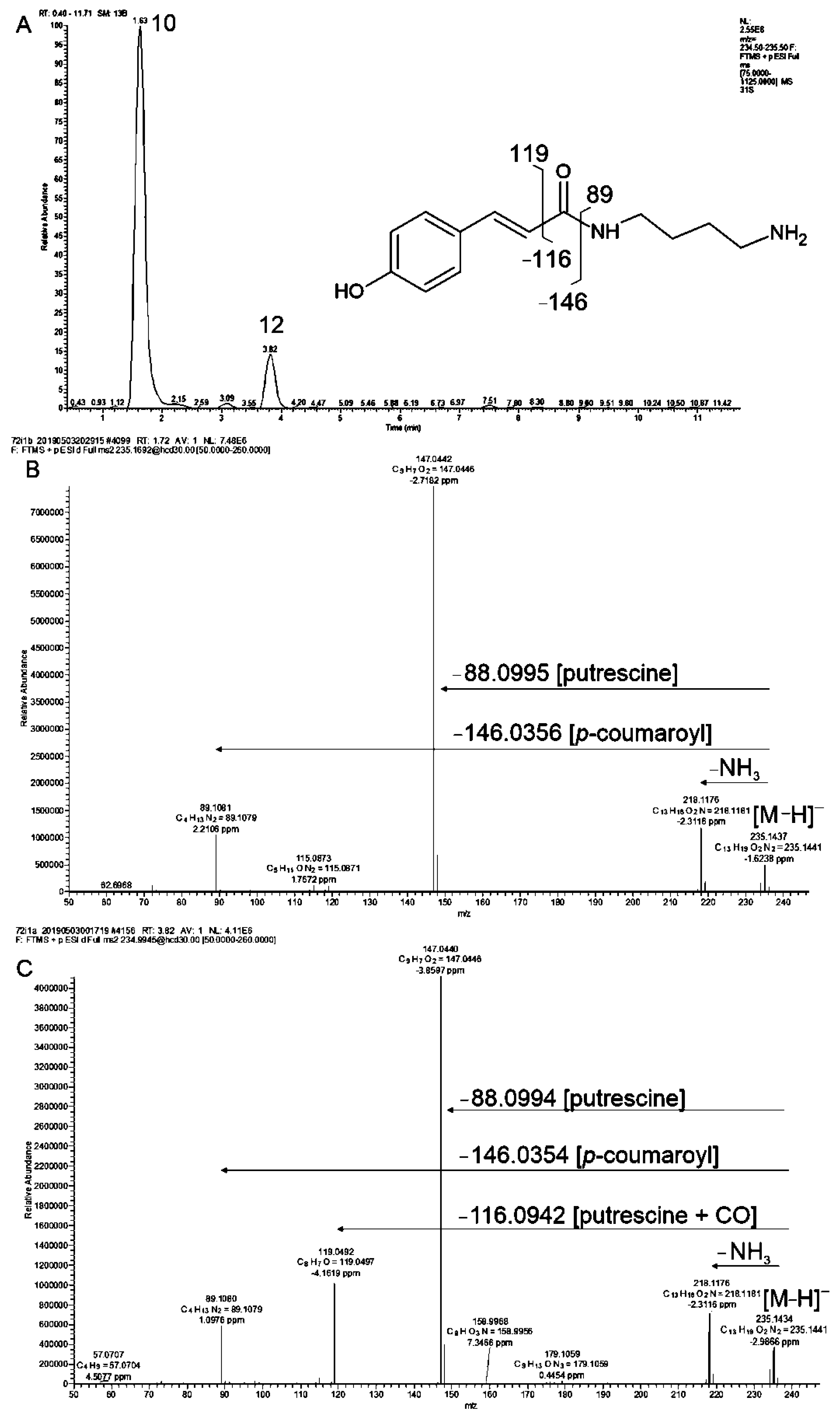 Molecules 27 05956 g006