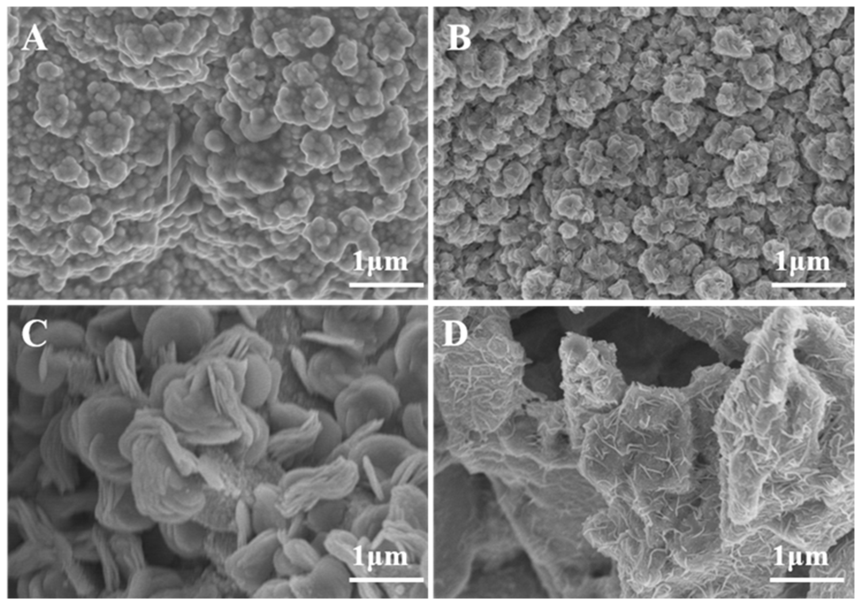 Molecules 27 05961 g002