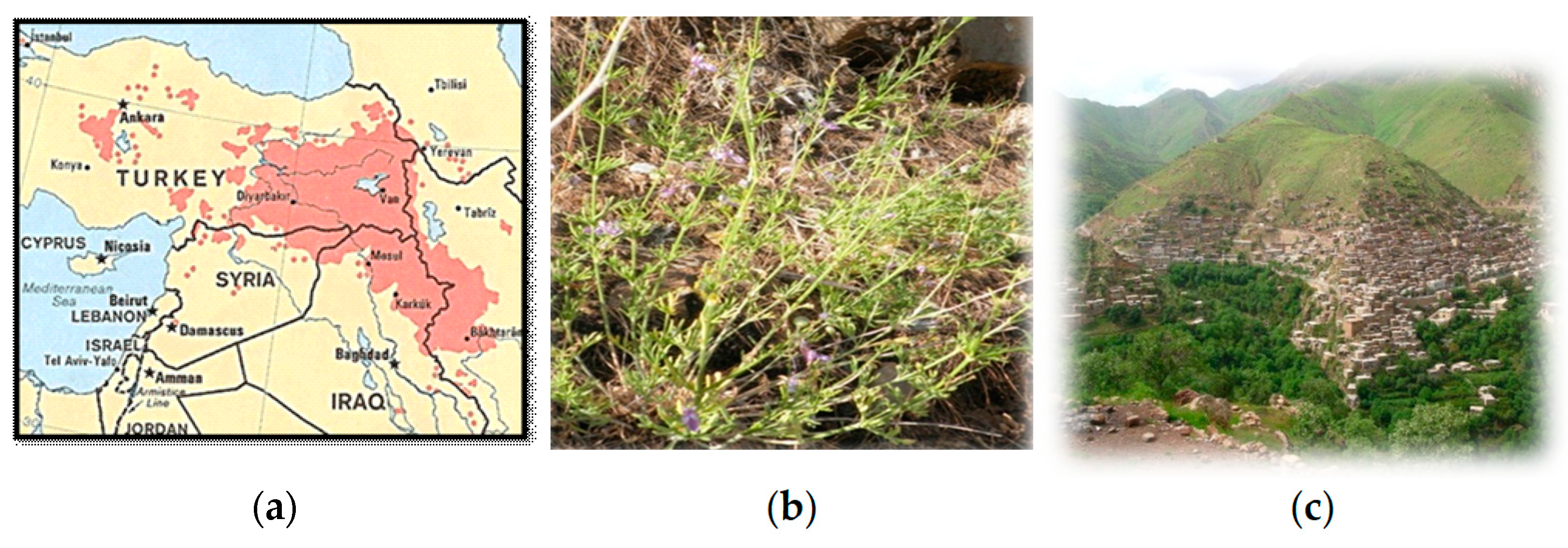 Molecules 27 05963 g001 550