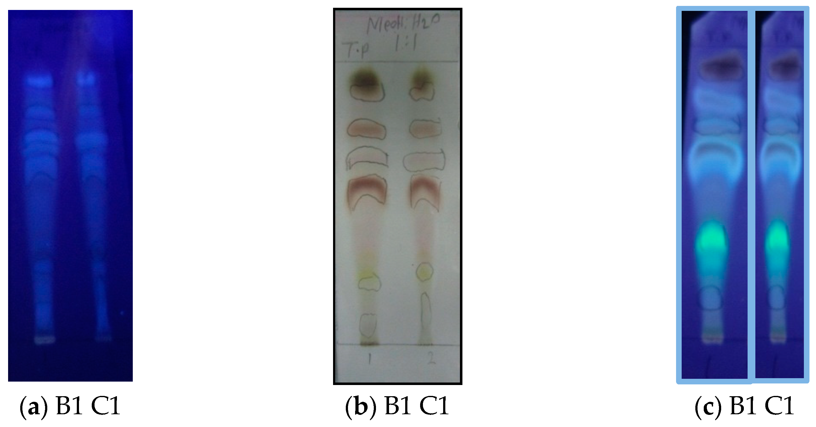 Molecules 27 05963 g002 550