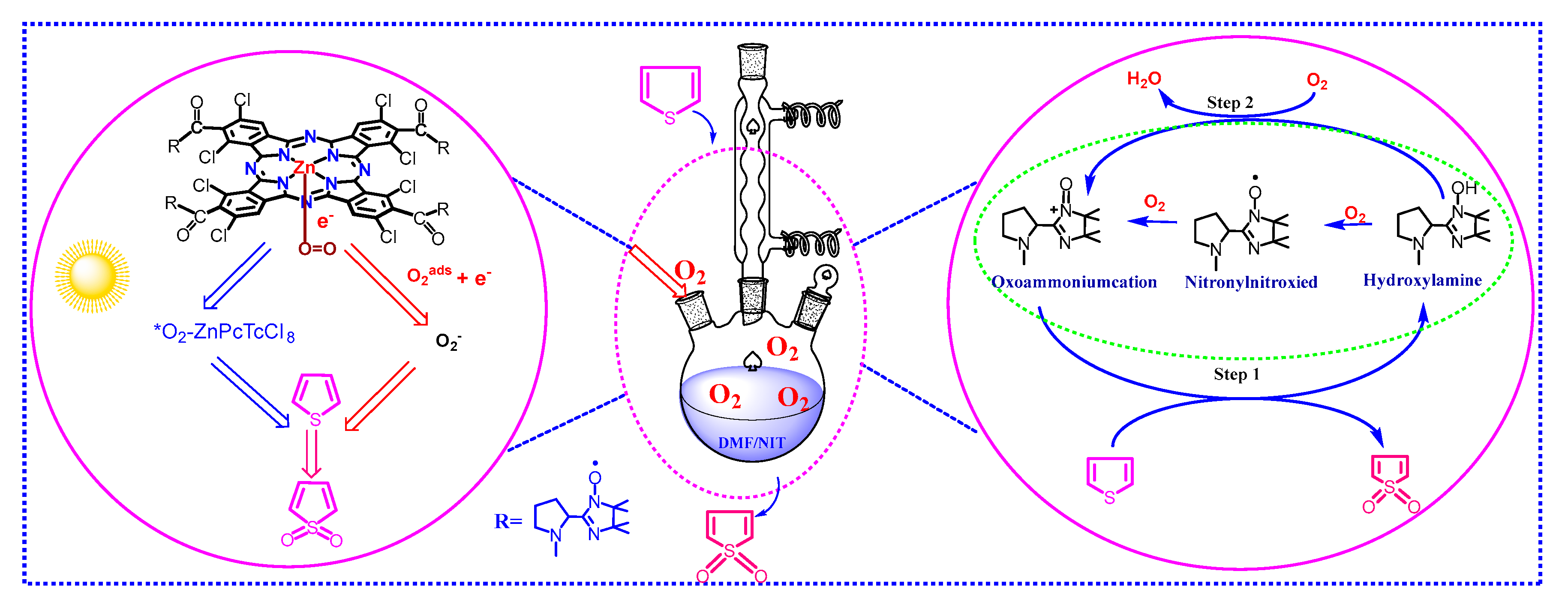 Molecules 27 05964 g011 550