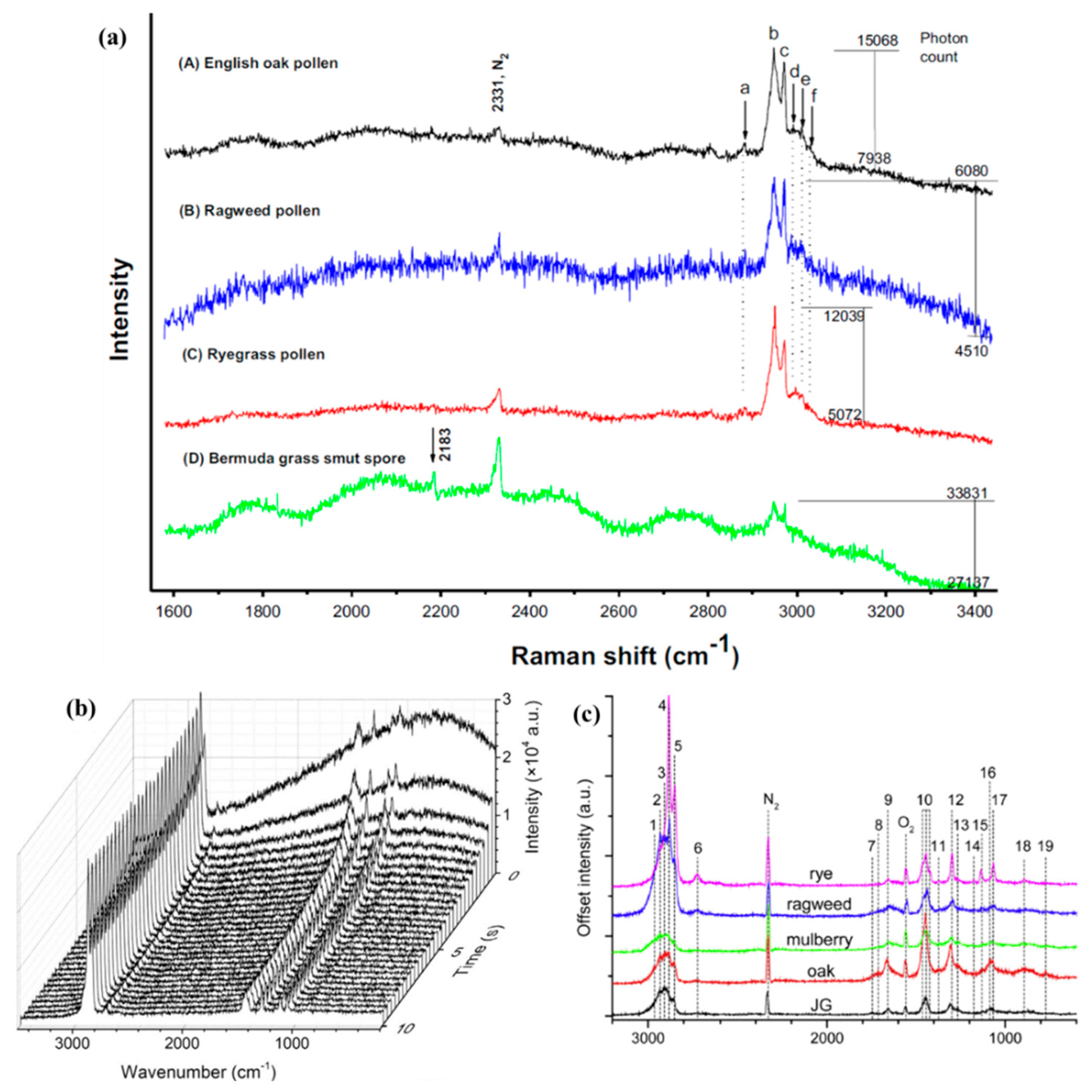Molecules 27 05966 g005