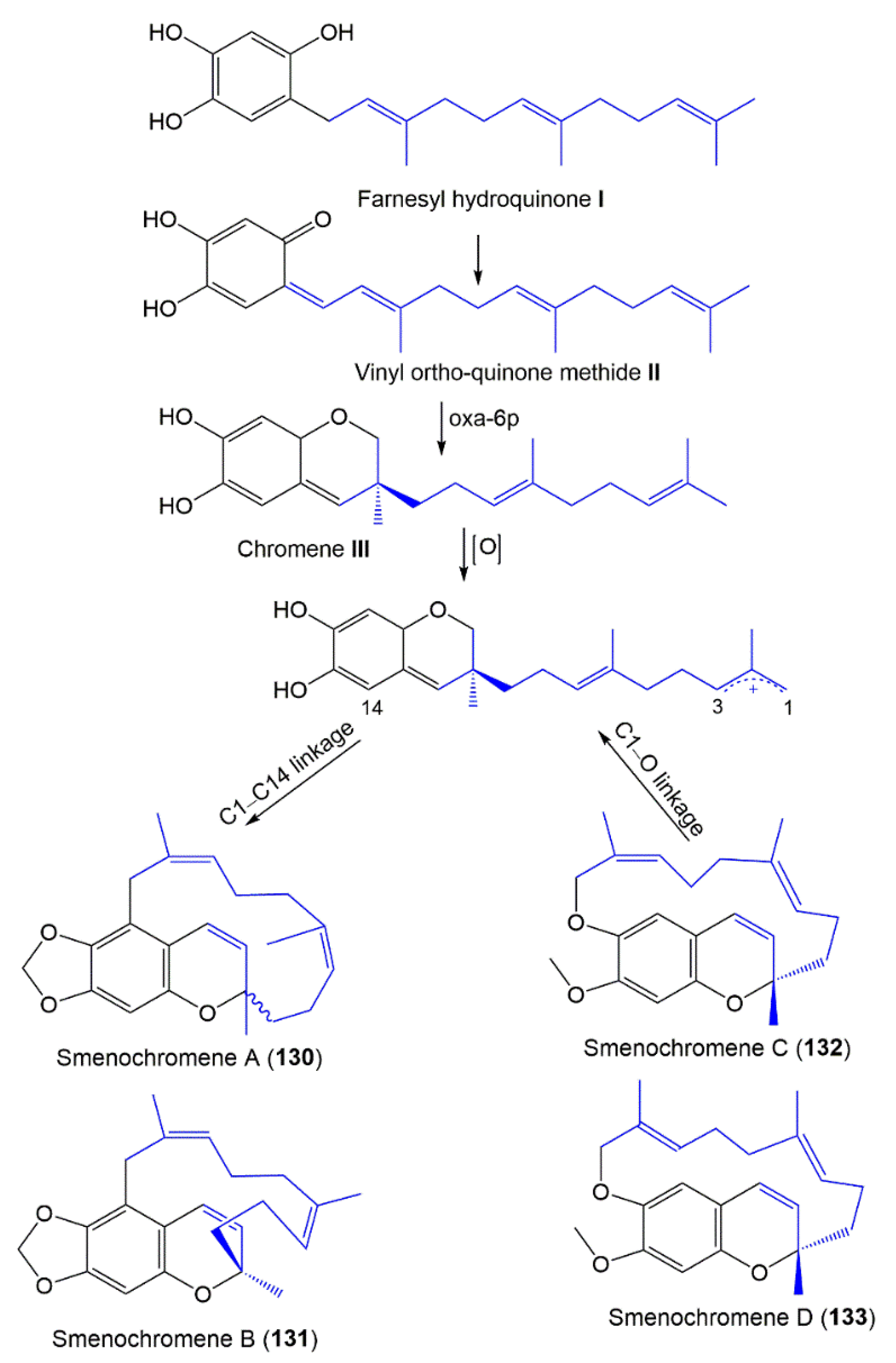 Molecules 27 05969 sch002 Molecules 27 05969 sch002