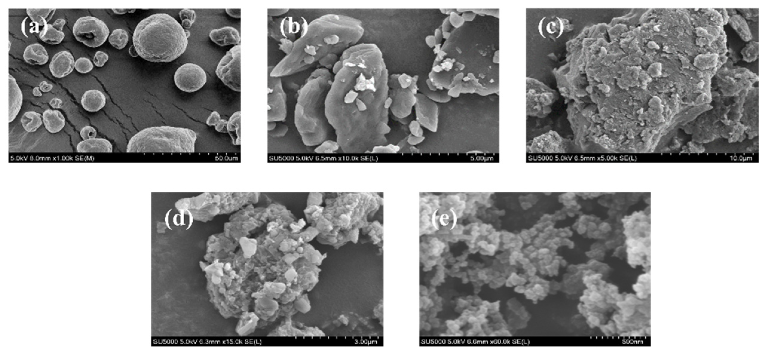Molecules 27 05970 g005