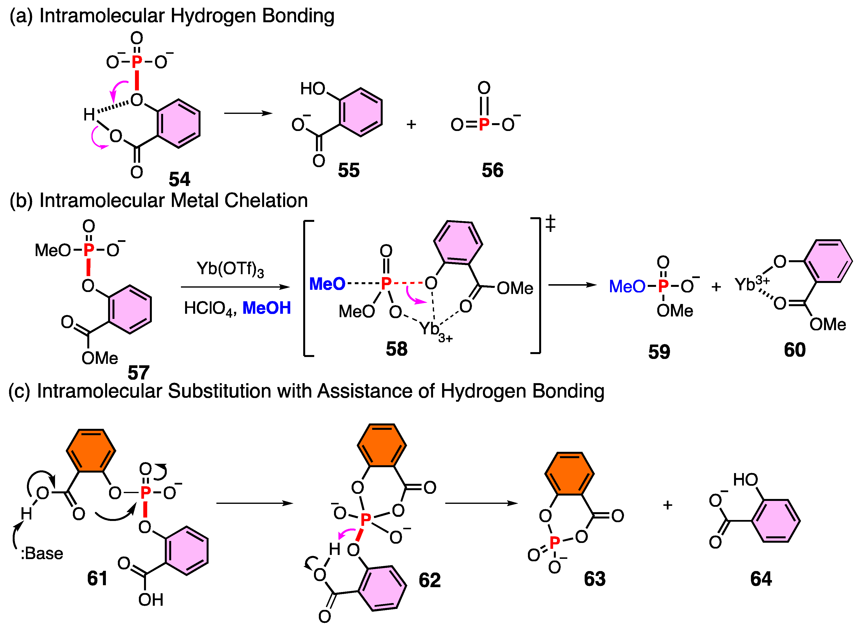 Molecules 27 05984 sch015 Molecules 27 05984 sch015