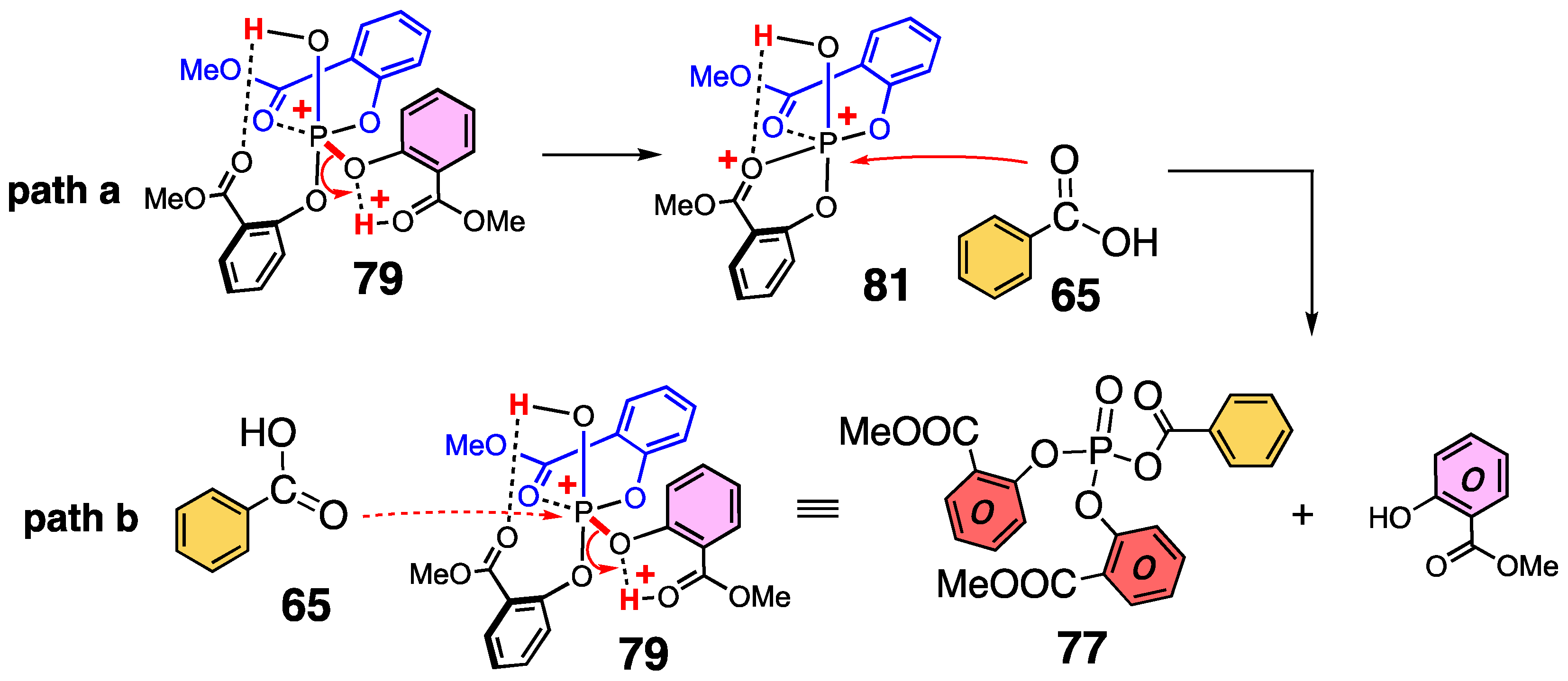 Molecules 27 05984 sch021 Molecules 27 05984 sch021