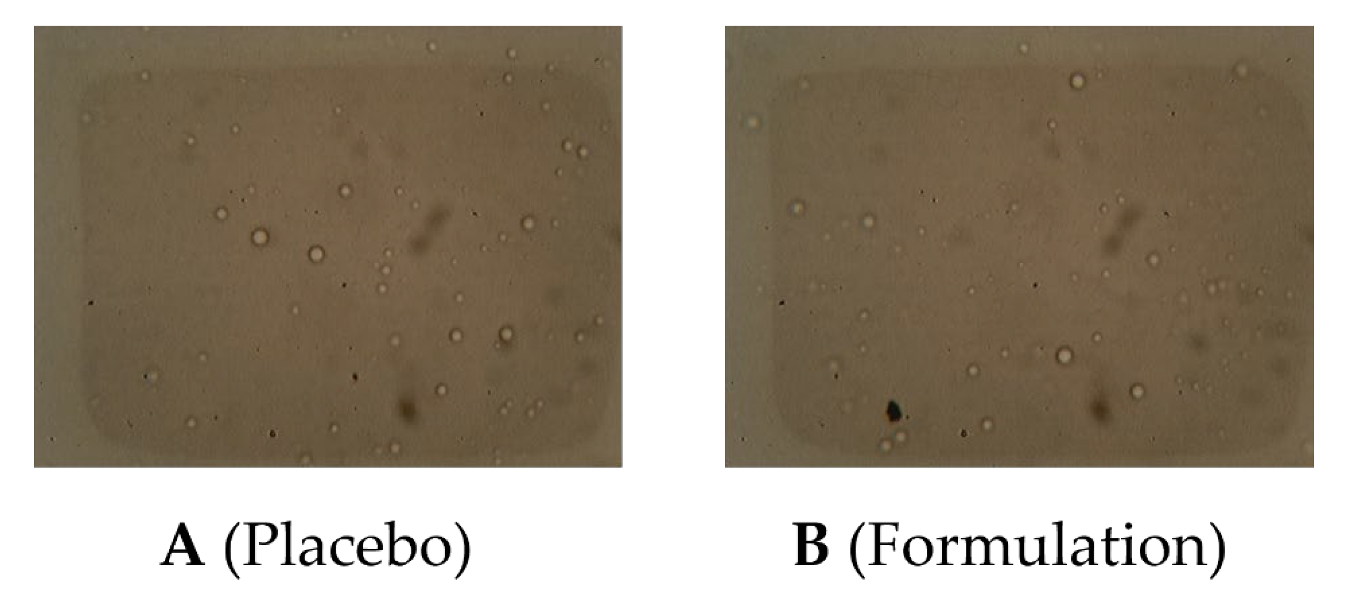 Molecules 27 05990 g004 Molecules 27 05990 g004