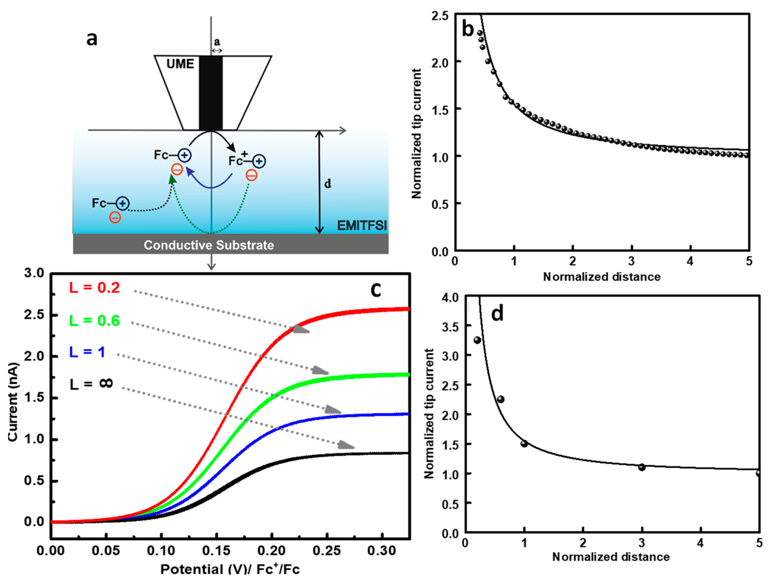 Molecules 27 06004 g001