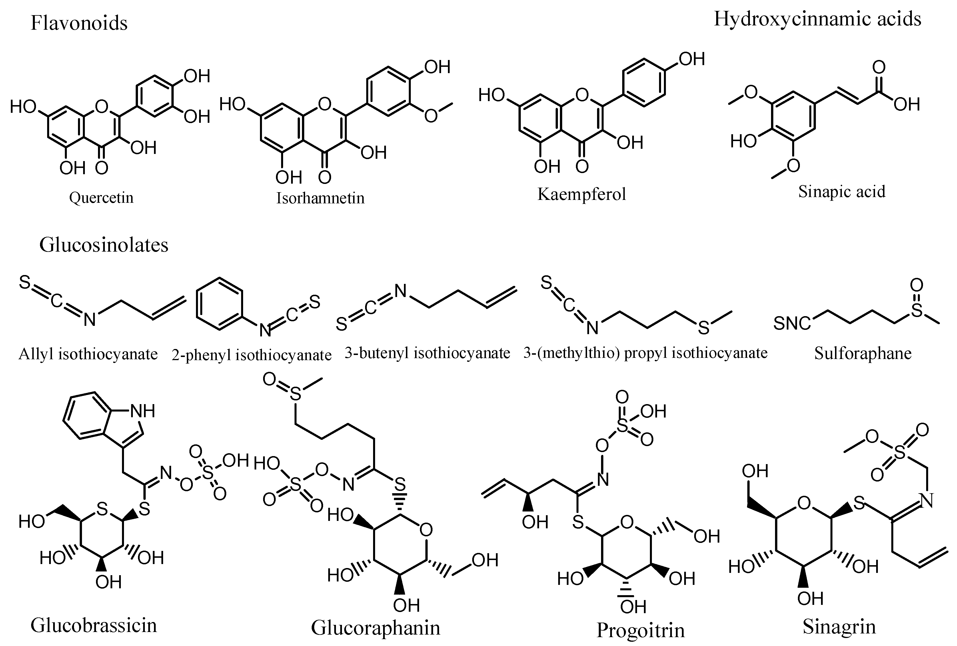 Molecules 27 06008 g001 550