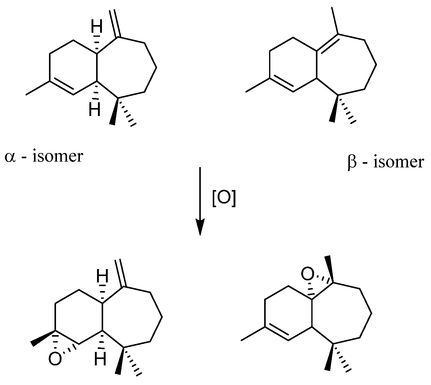 Molecules 27 06011 g013 550
