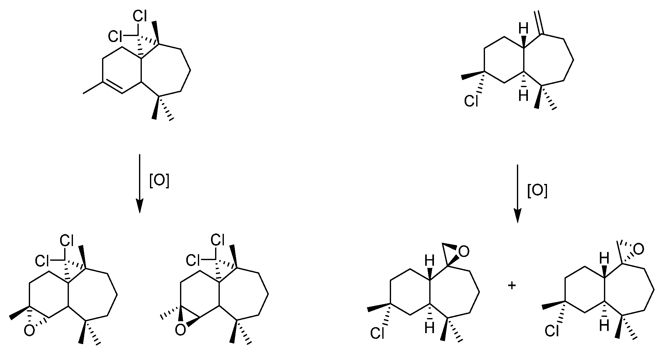 Molecules 27 06011 g014 550