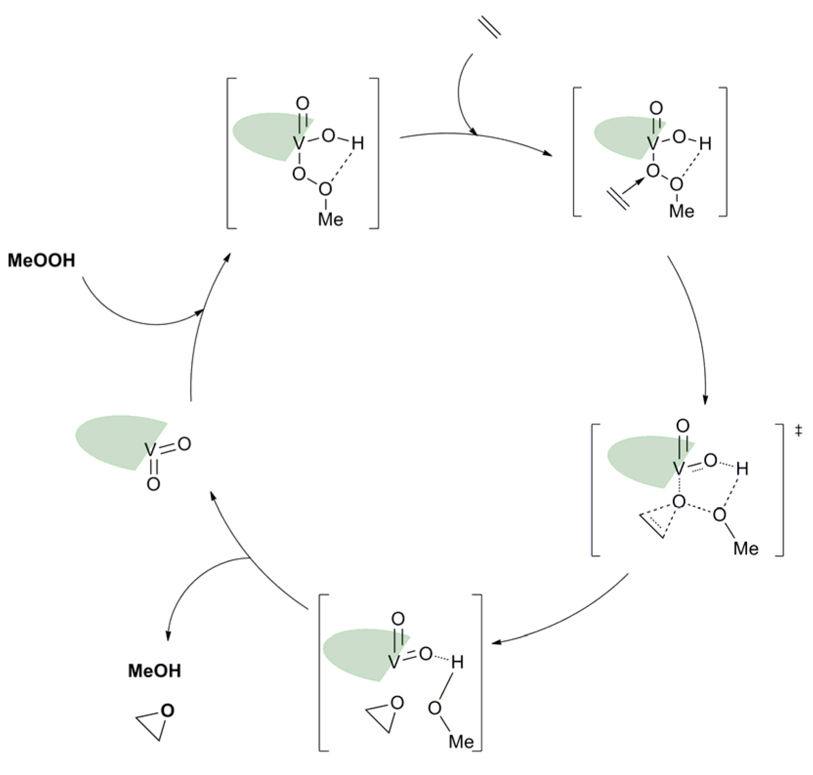 Molecules 27 06011 g021 550