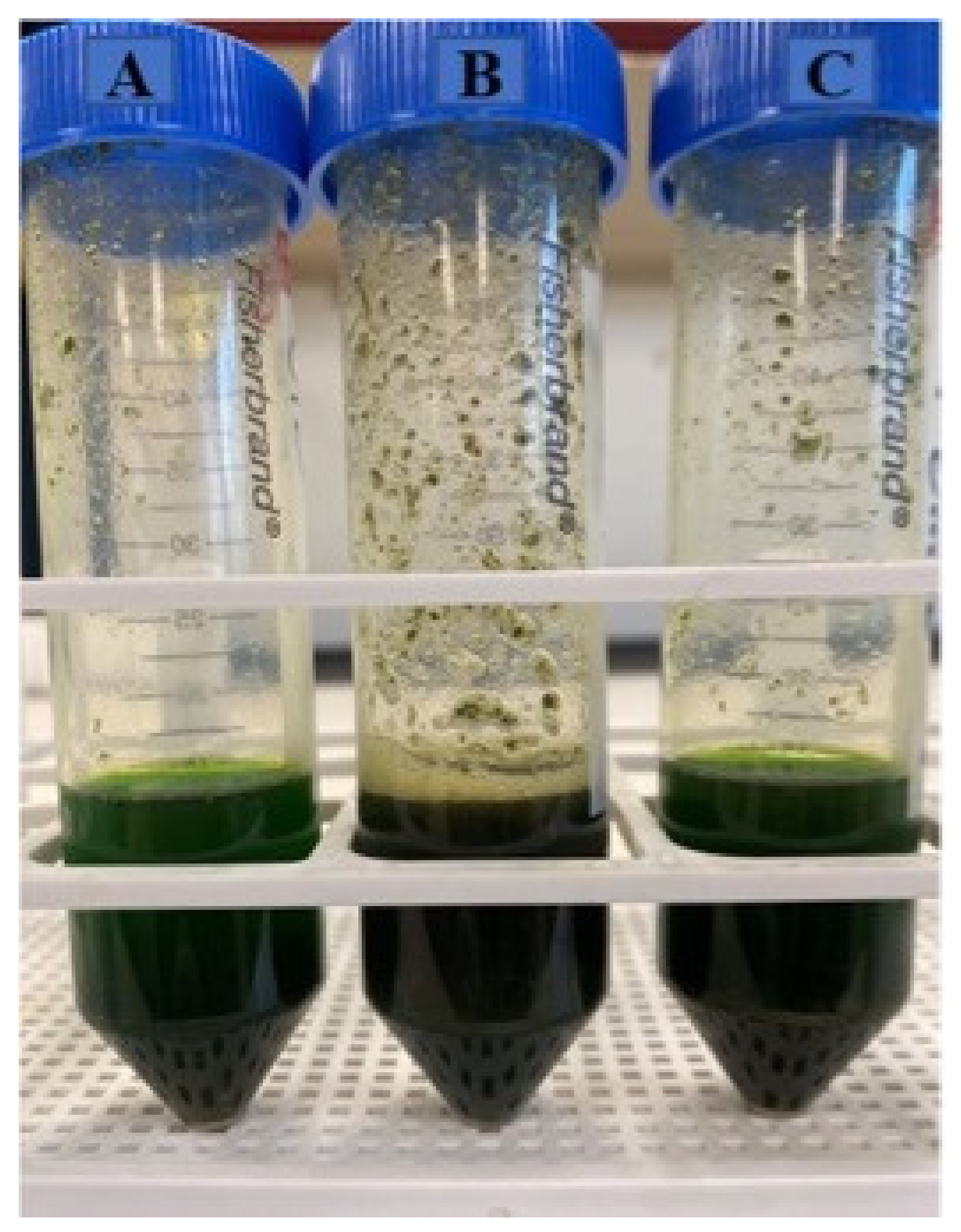 Molecules 27 06015 g001 550