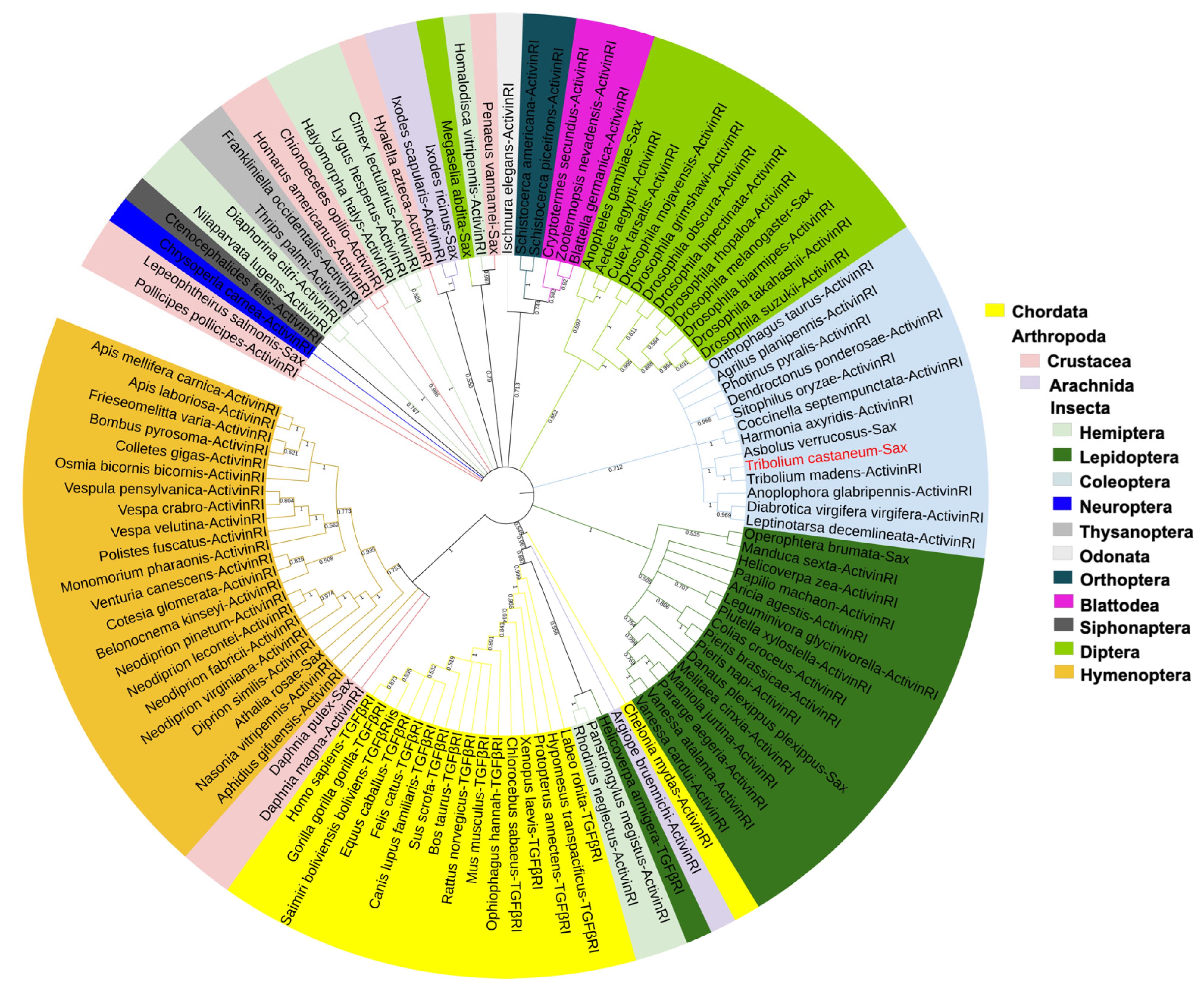 Molecules 27 06017 g002 Molecules 27 06017 g002