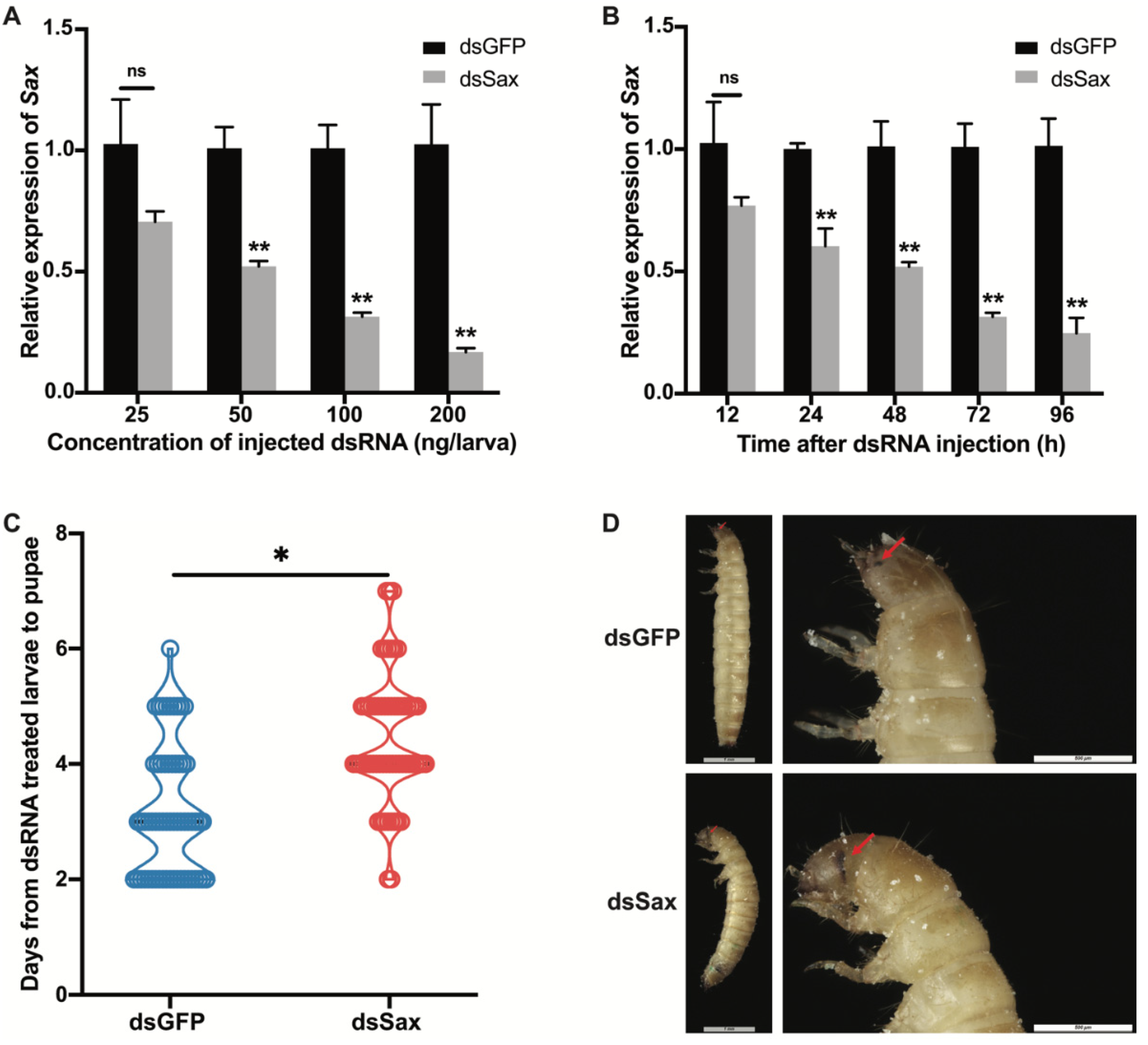 Molecules 27 06017 g004 Molecules 27 06017 g004