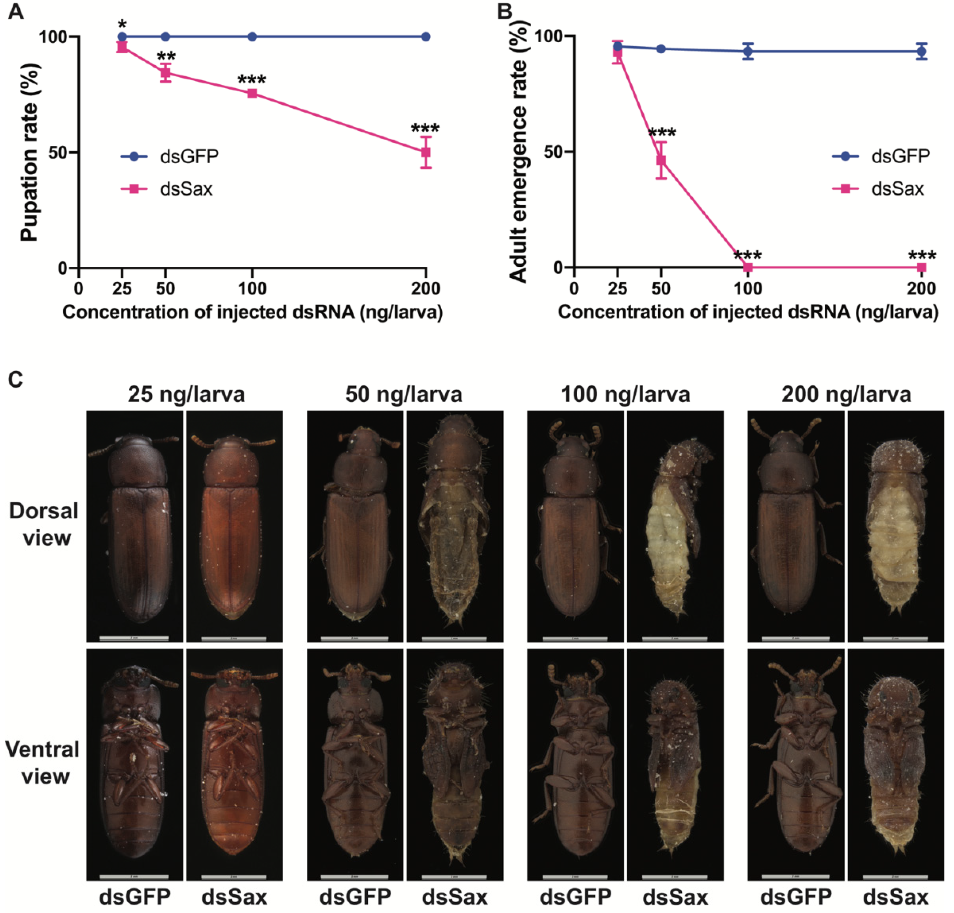 Molecules 27 06017 g005 Molecules 27 06017 g005