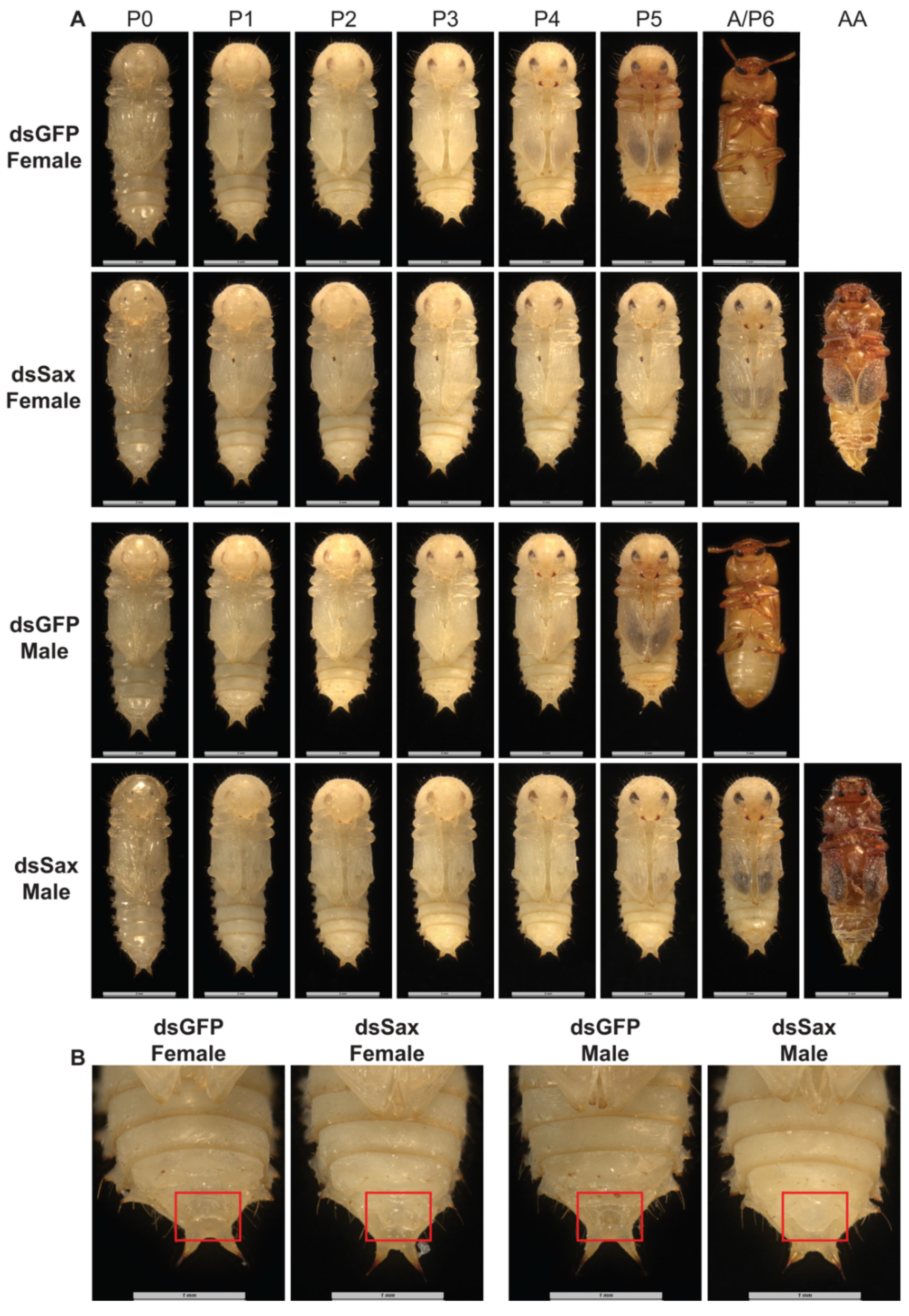 Molecules 27 06017 g006 Molecules 27 06017 g006