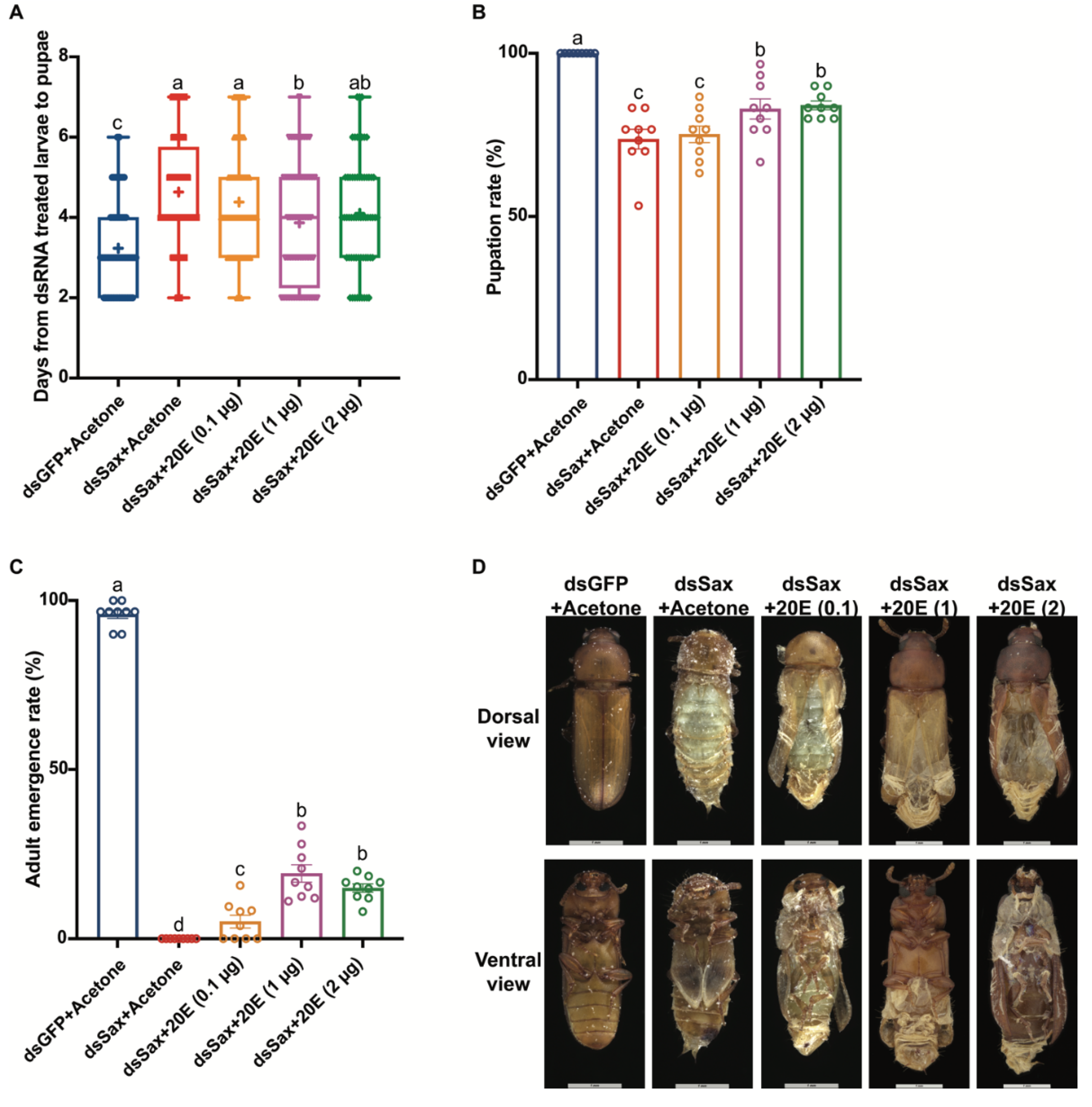 Molecules 27 06017 g008 Molecules 27 06017 g008