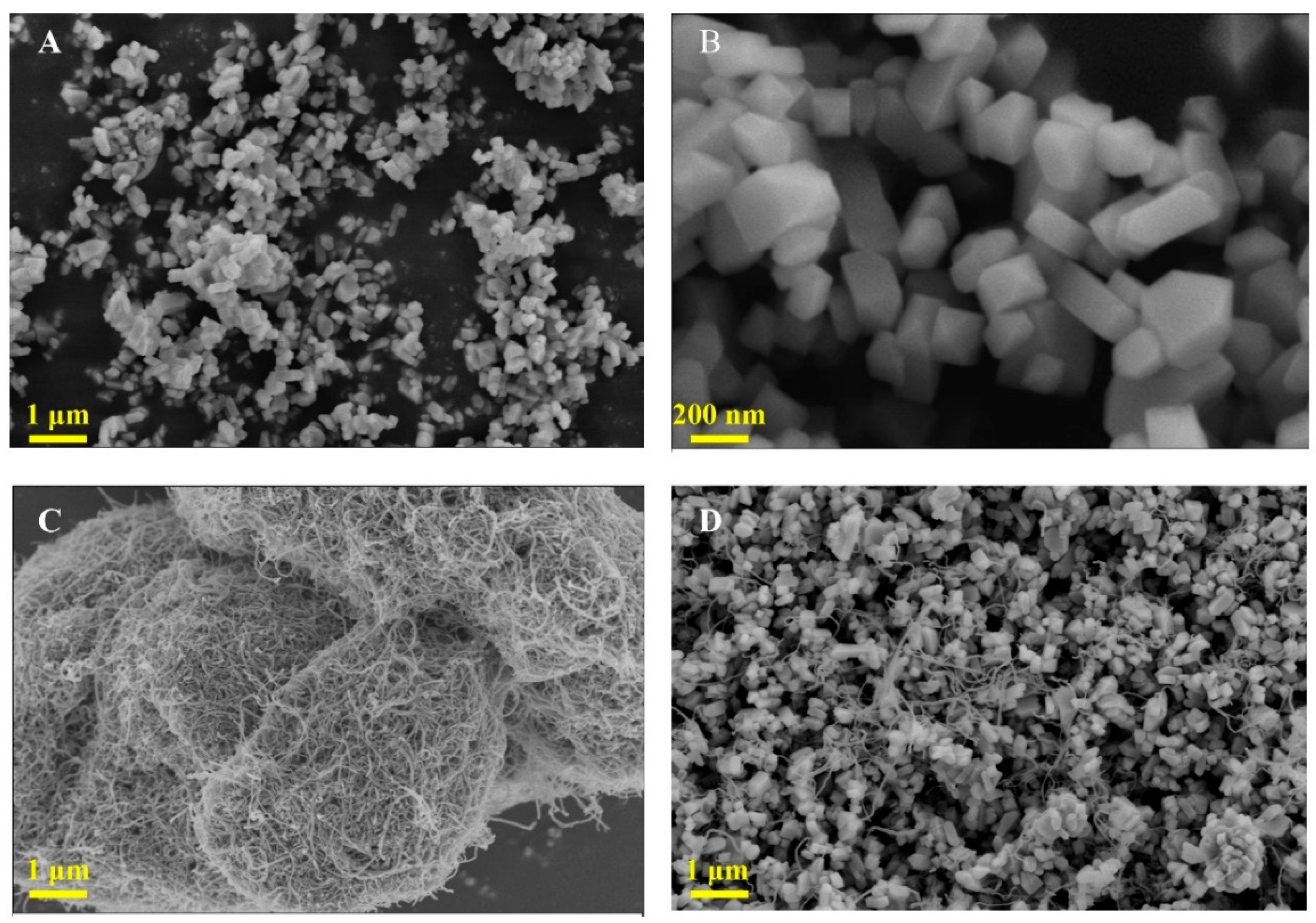 Molecules 27 06022 g003 Molecules 27 06022 g003