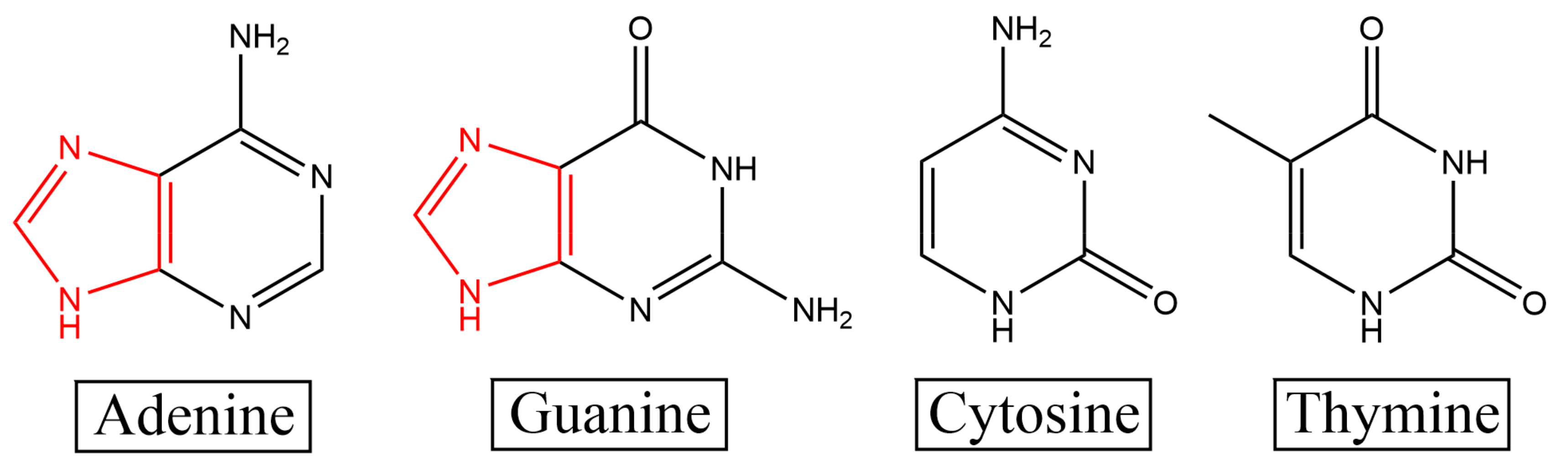 Molecules 27 06023 g002