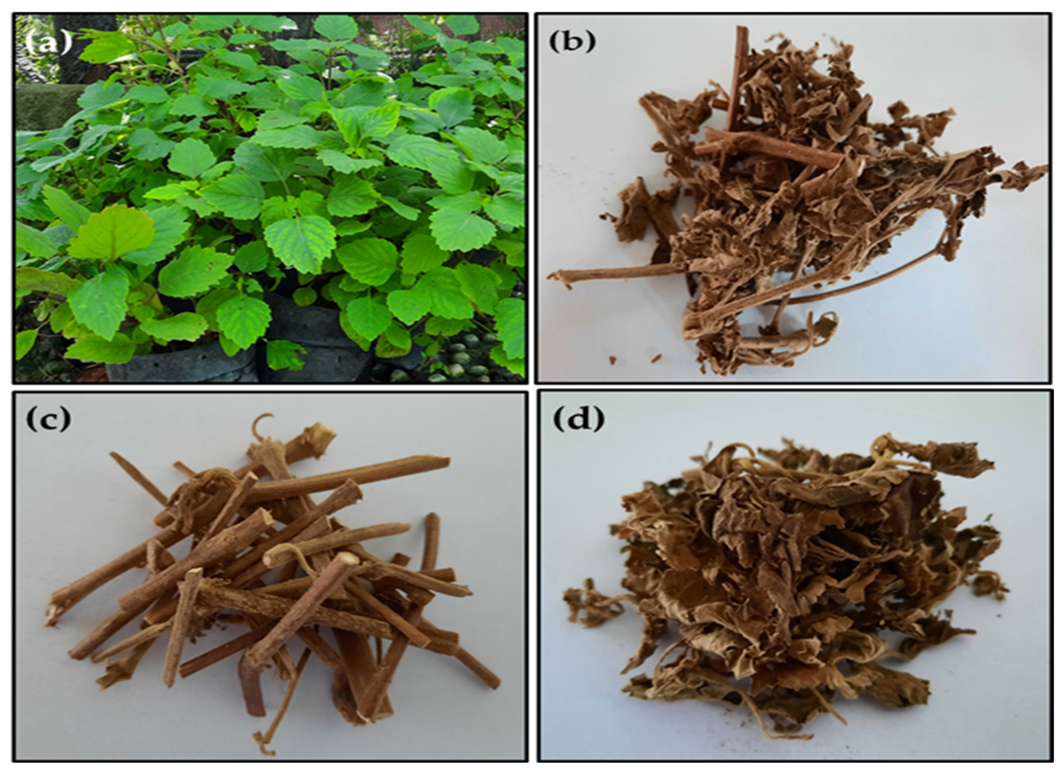 Molecules 27 06025 g005 550