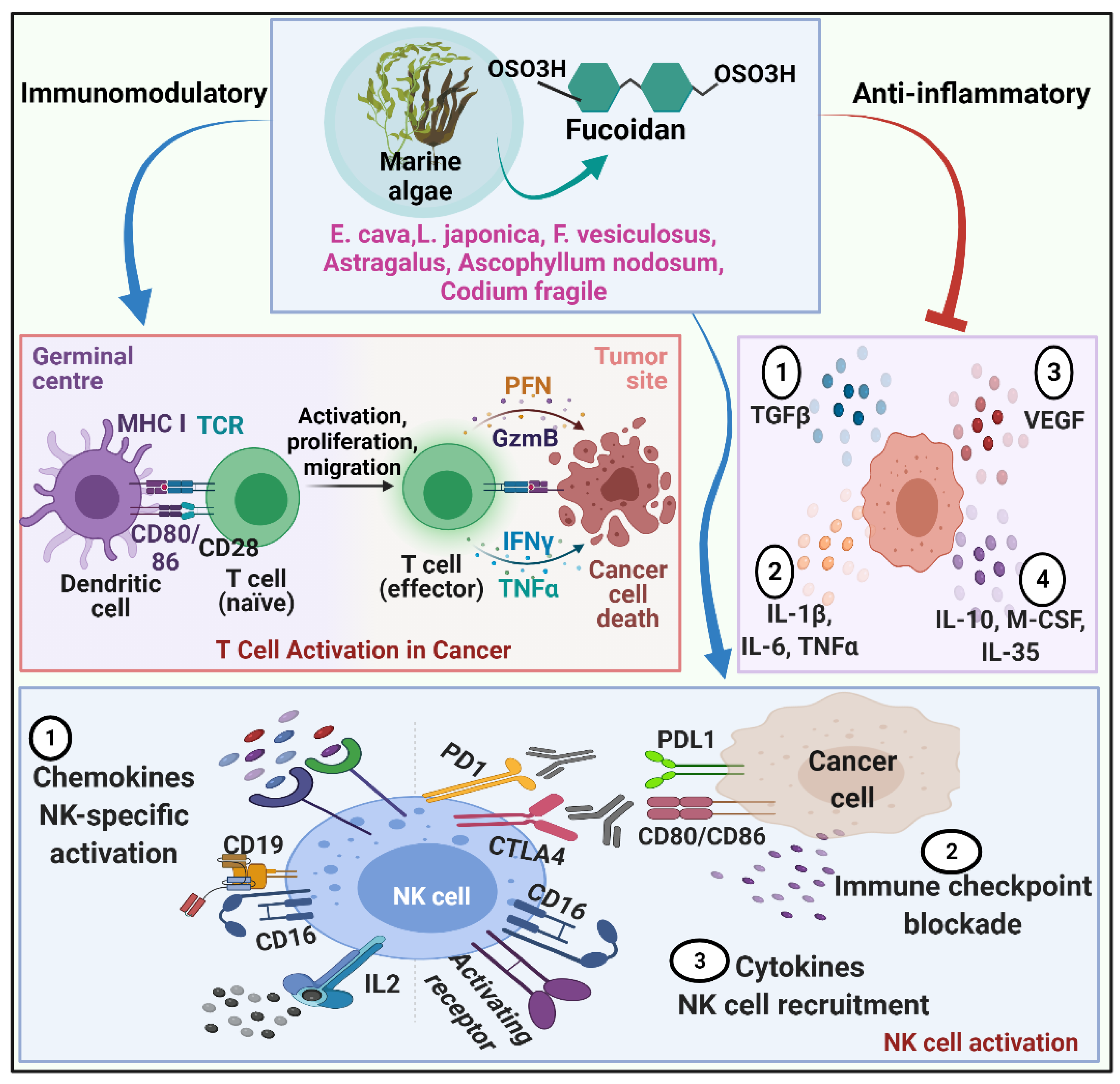 Molecules 27 06032 g002