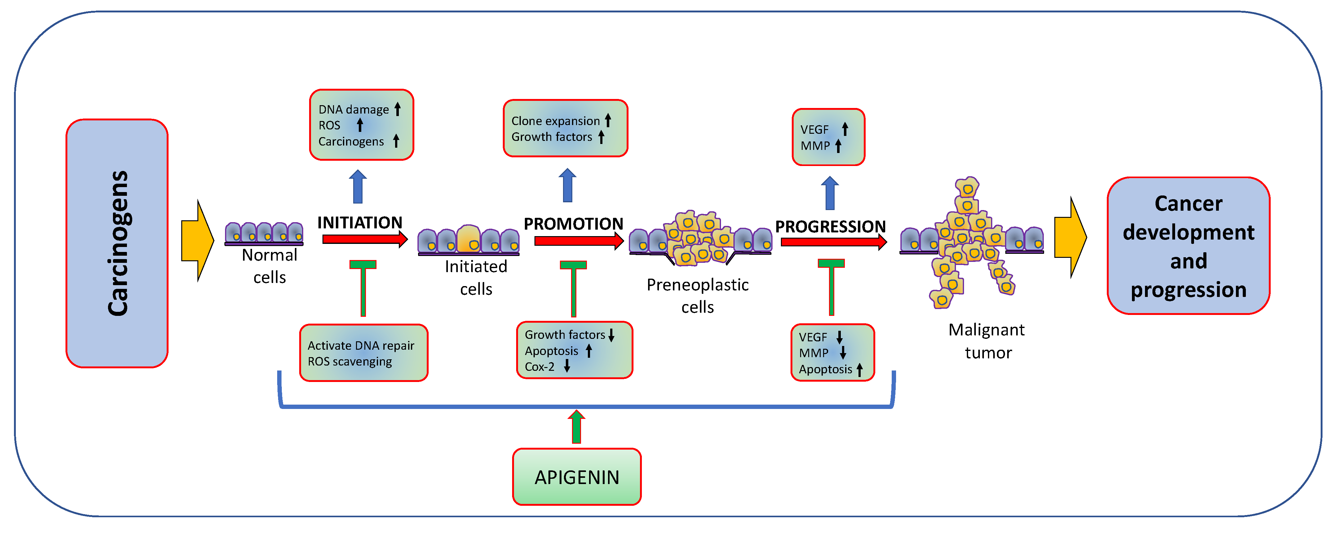 Molecules 27 06051 g003 Molecules 27 06051 g003