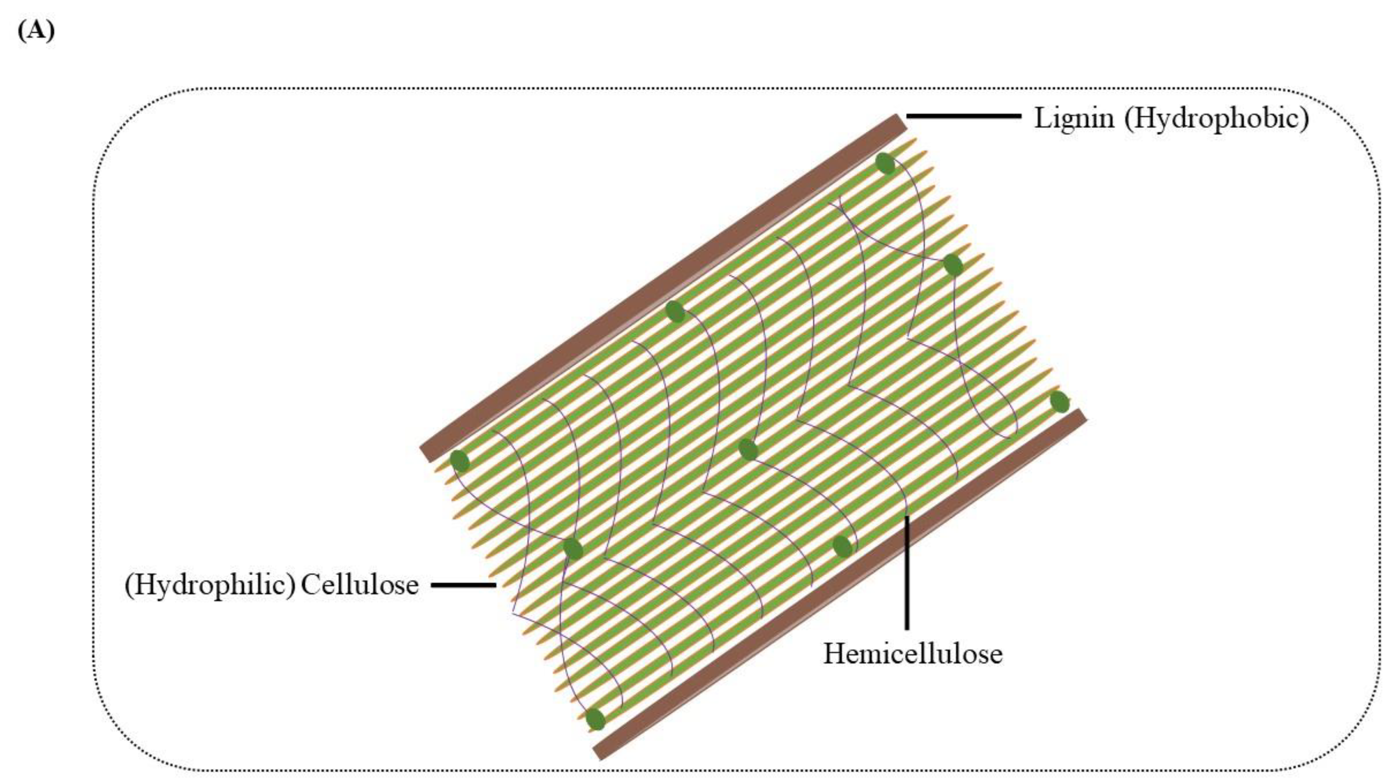 Molecules 27 06055 g001a Molecules 27 06055 g001a