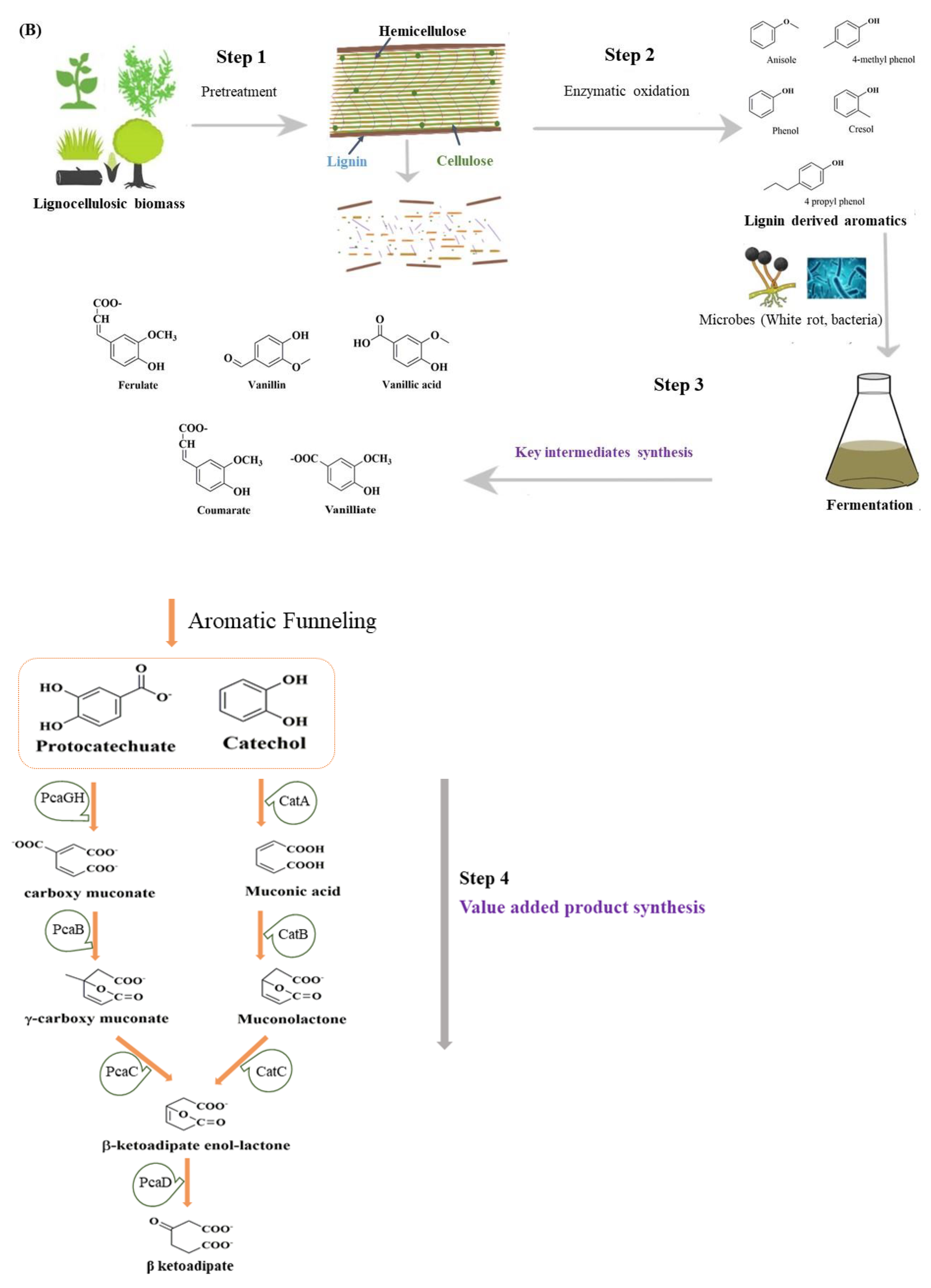 Molecules 27 06055 g001b Molecules 27 06055 g001b