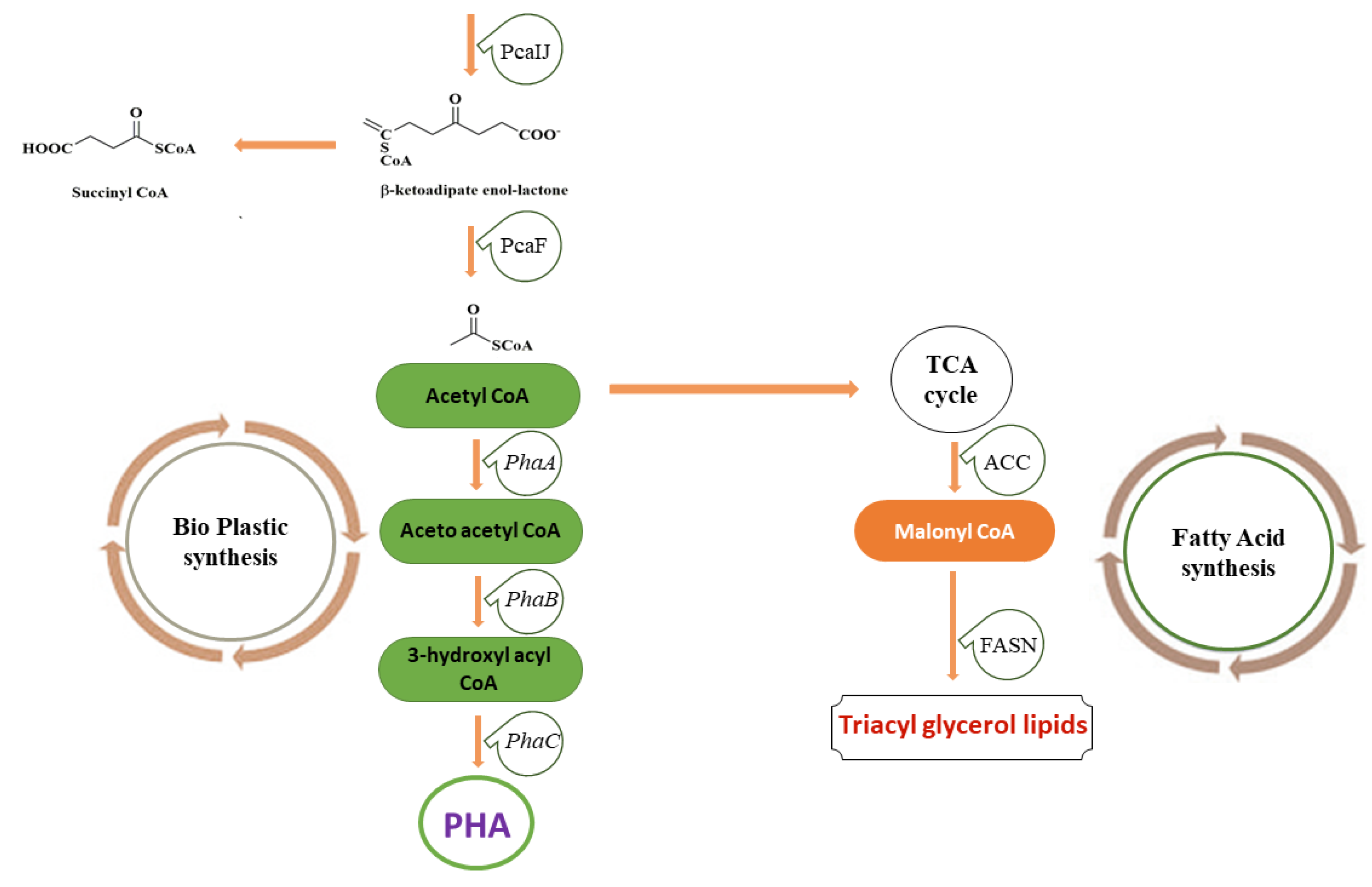 Molecules 27 06055 g001c Molecules 27 06055 g001c