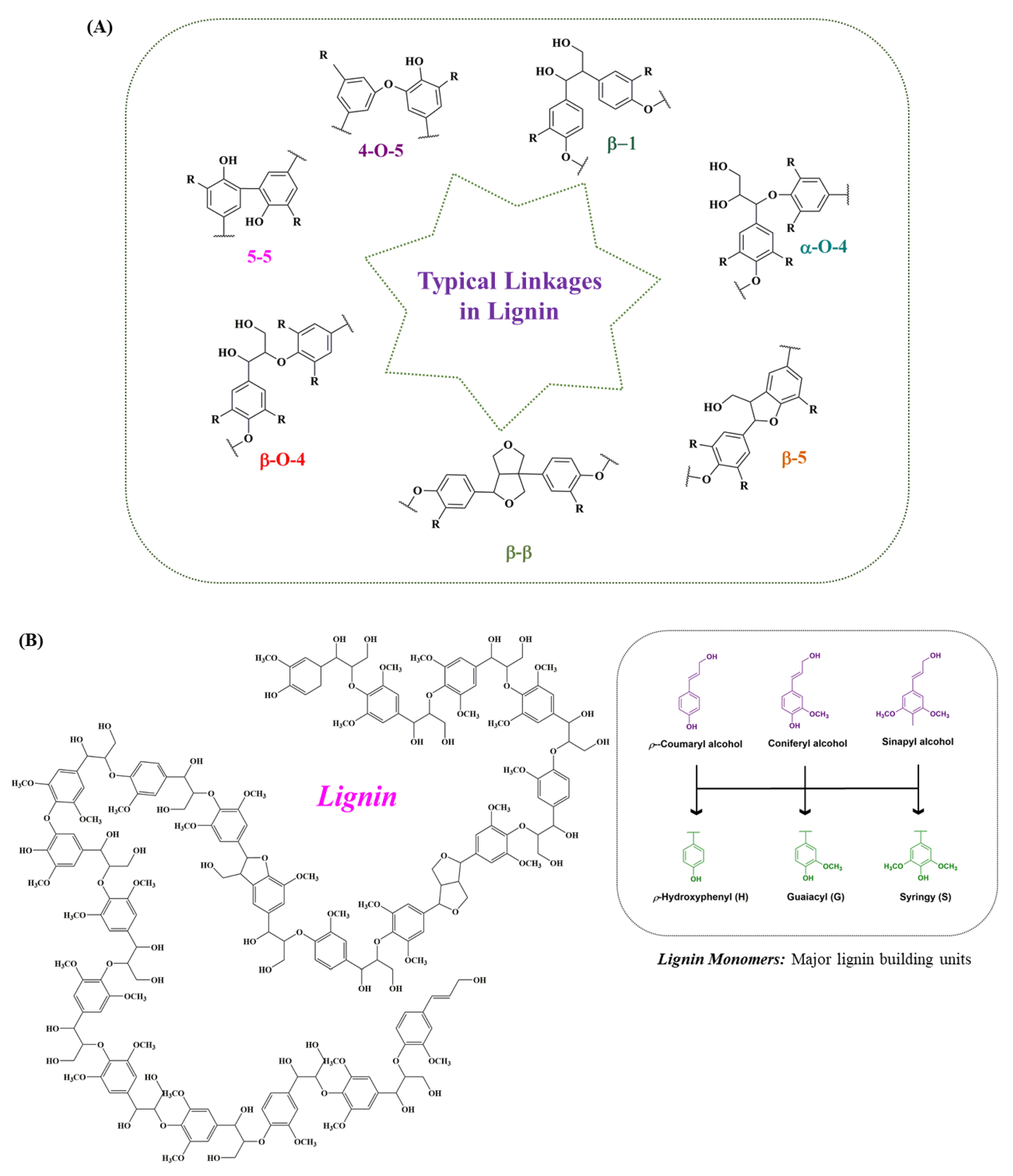 Molecules 27 06055 g002 Molecules 27 06055 g002