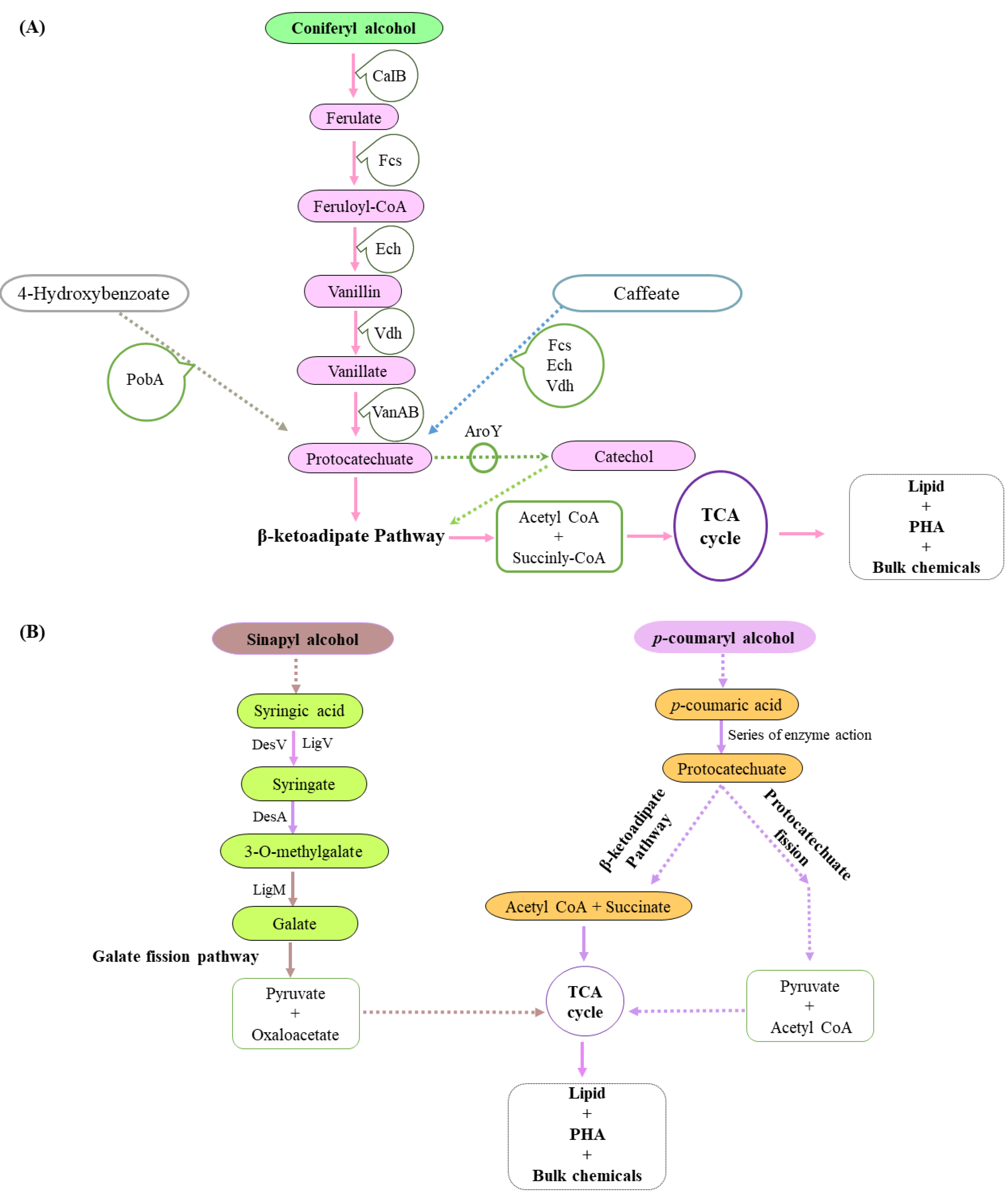 Molecules 27 06055 g006 Molecules 27 06055 g006