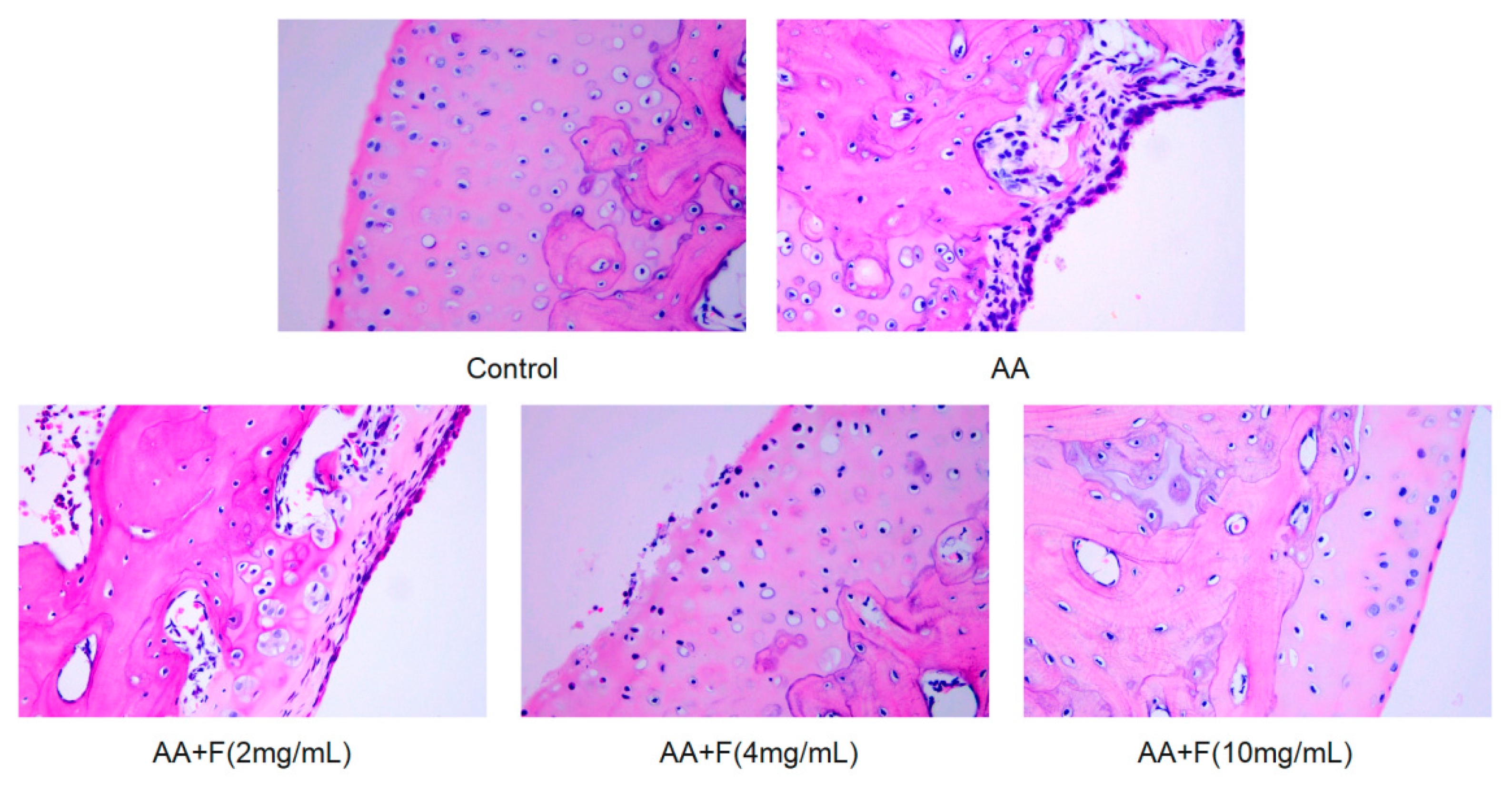 Molecules 27 06058 g006 Molecules 27 06058 g006
