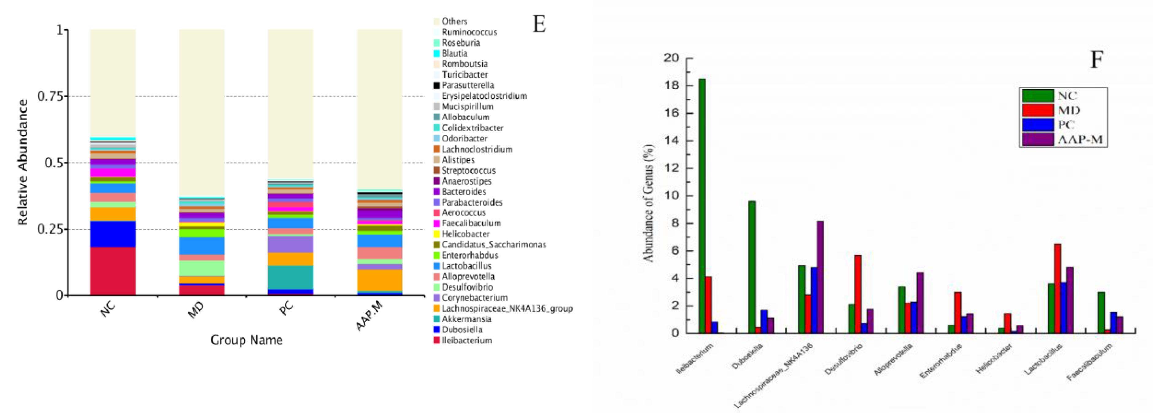 Molecules 27 06061 g006b