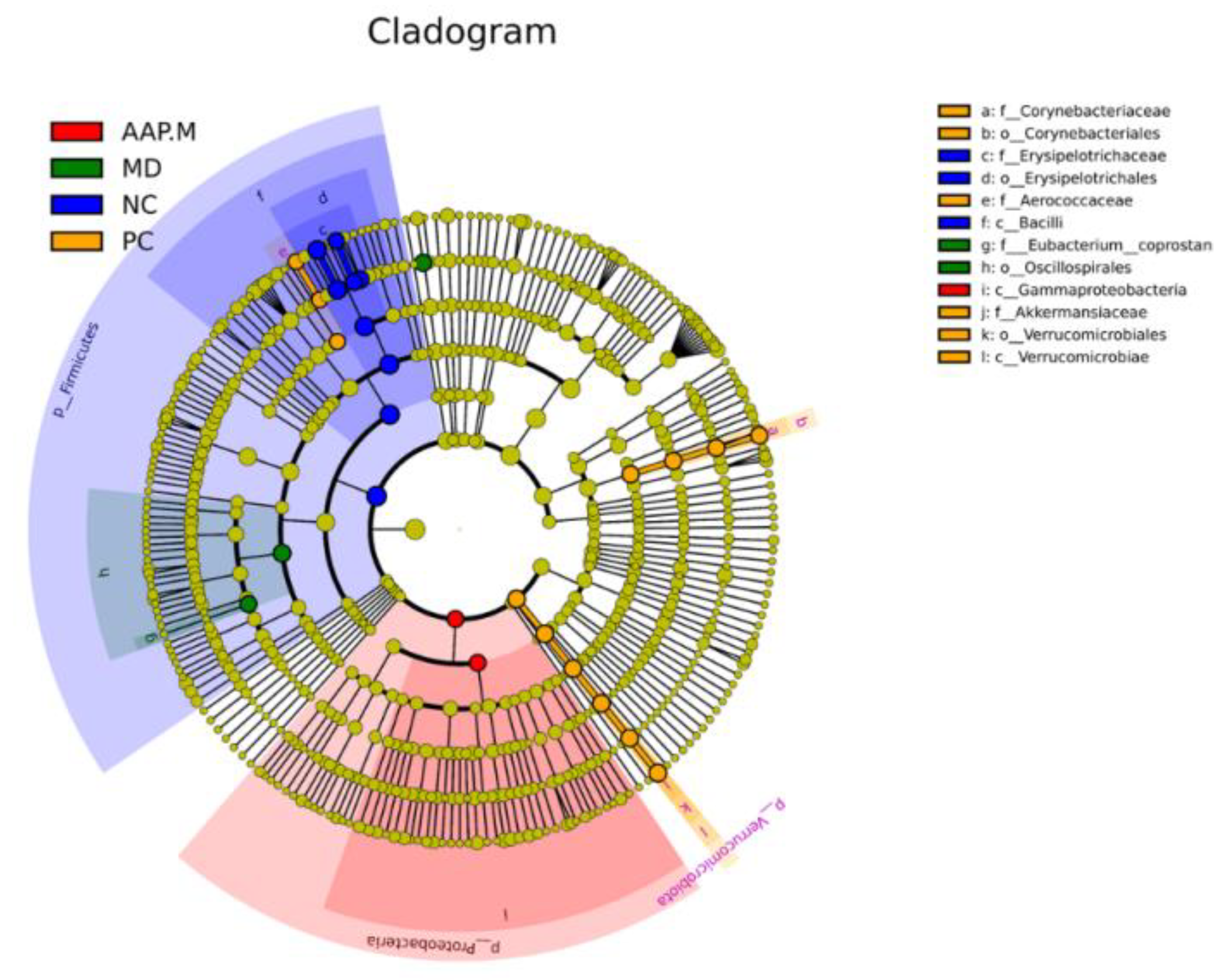 Molecules 27 06061 g008
