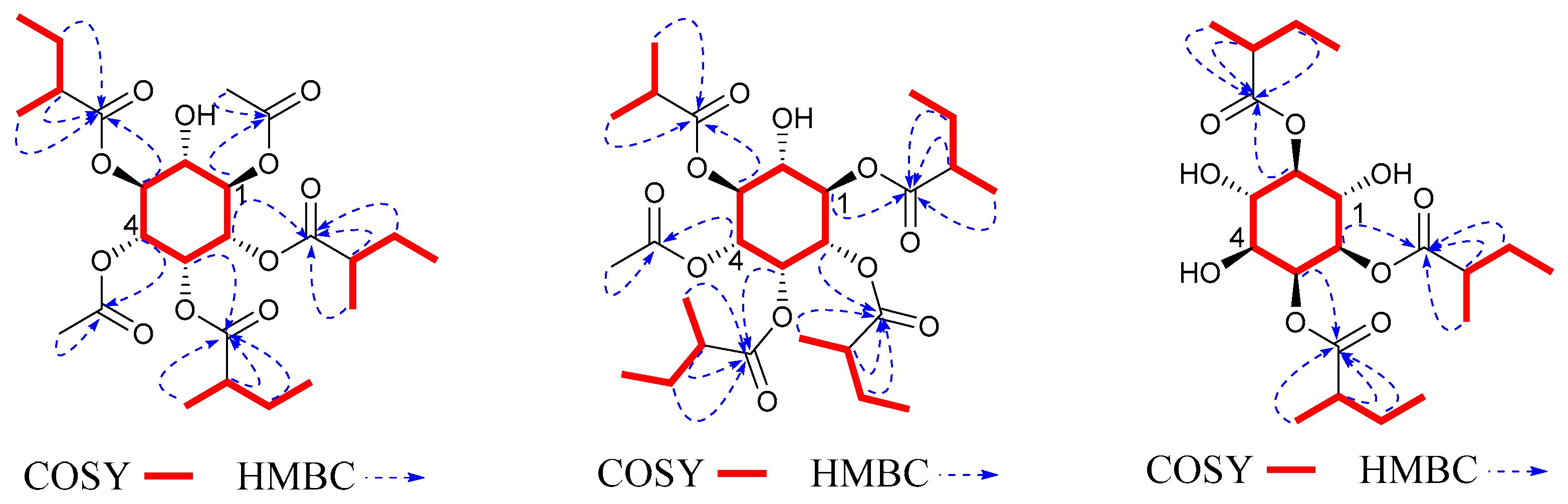 Molecules 27 06063 g004