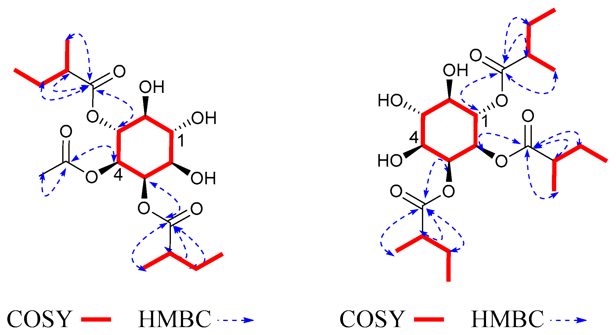 Molecules 27 06063 g006