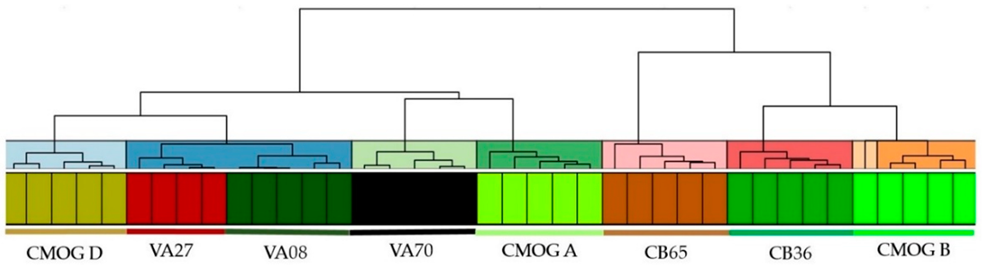 Molecules 27 06068 g008 Molecules 27 06068 g008