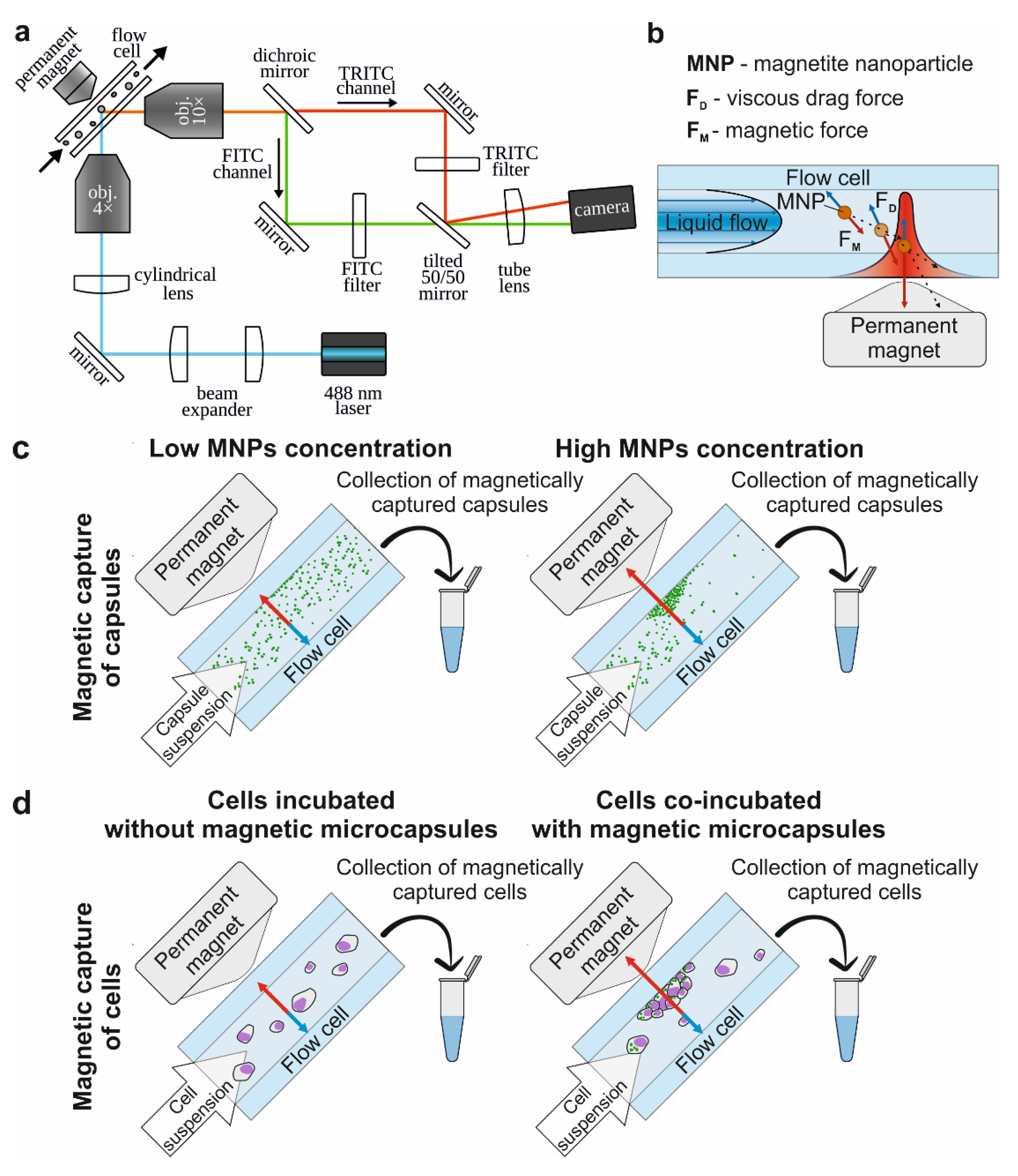 Molecules 27 06073 g002 Molecules 27 06073 g002