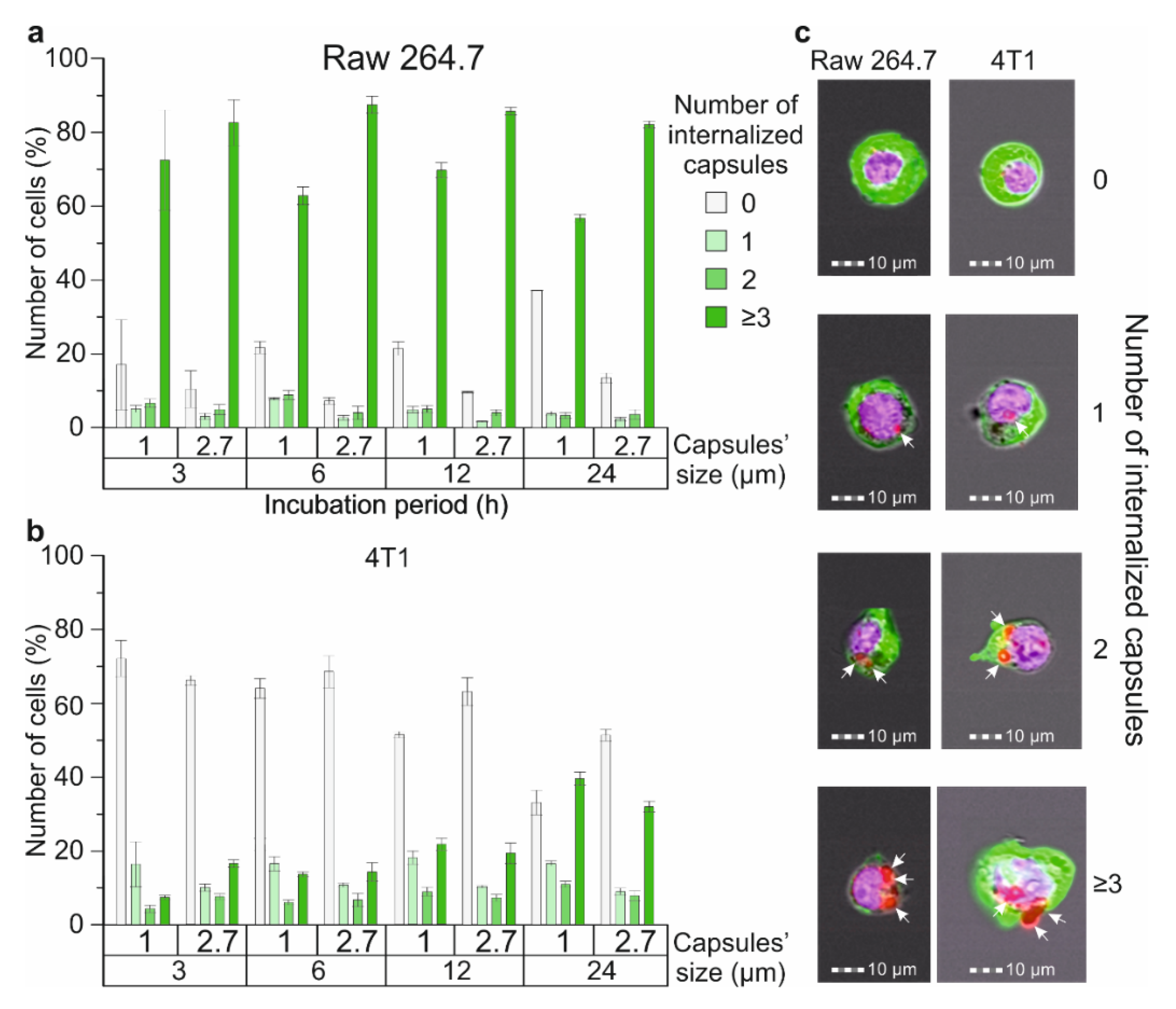 Molecules 27 06073 g004 Molecules 27 06073 g004