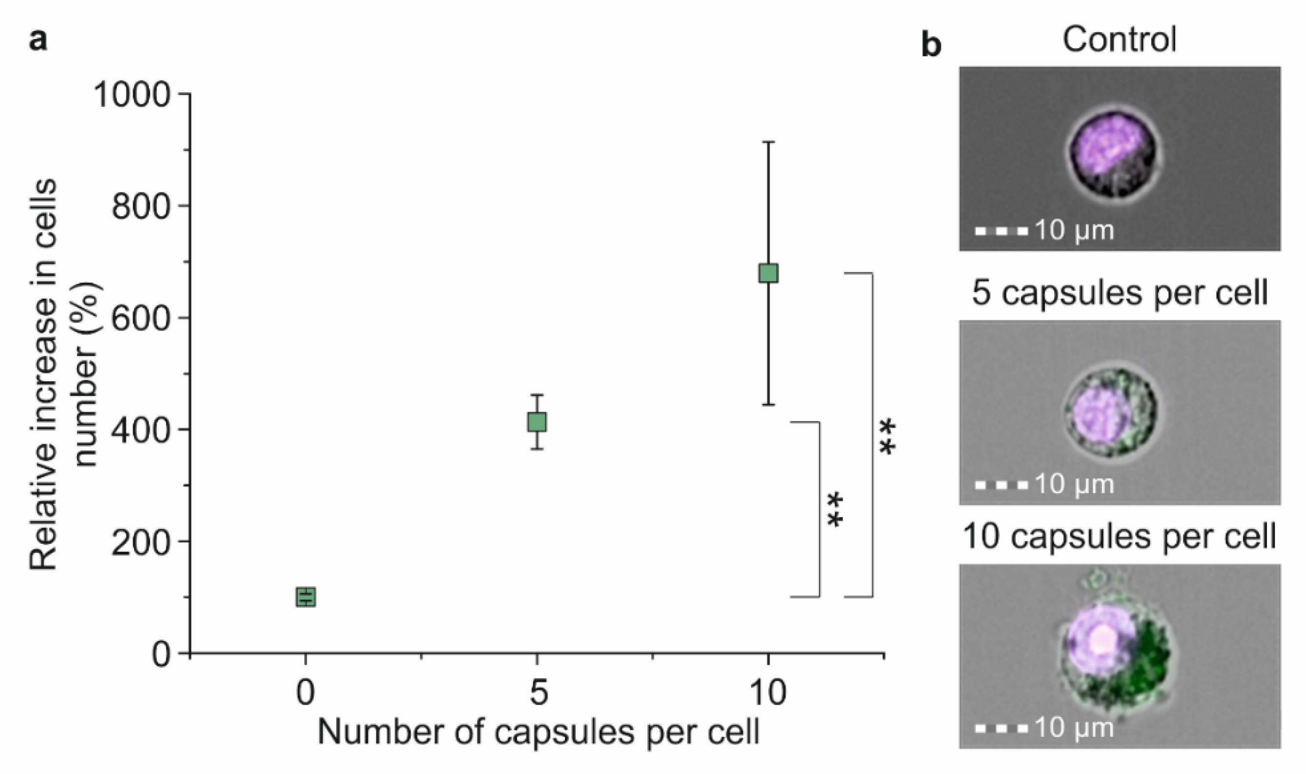 Molecules 27 06073 g005 Molecules 27 06073 g005