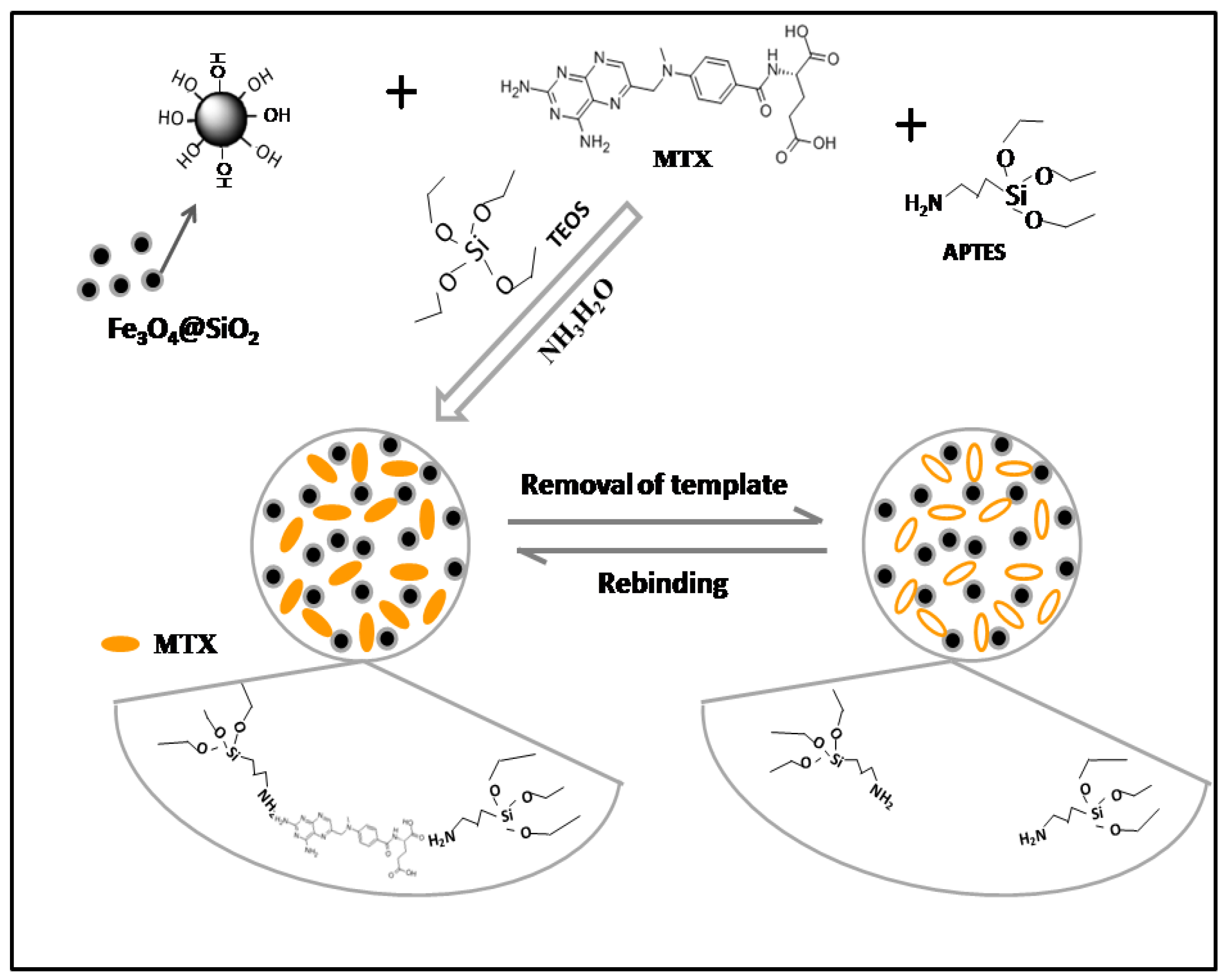 Molecules 27 06084 g001 Molecules 27 06084 g001