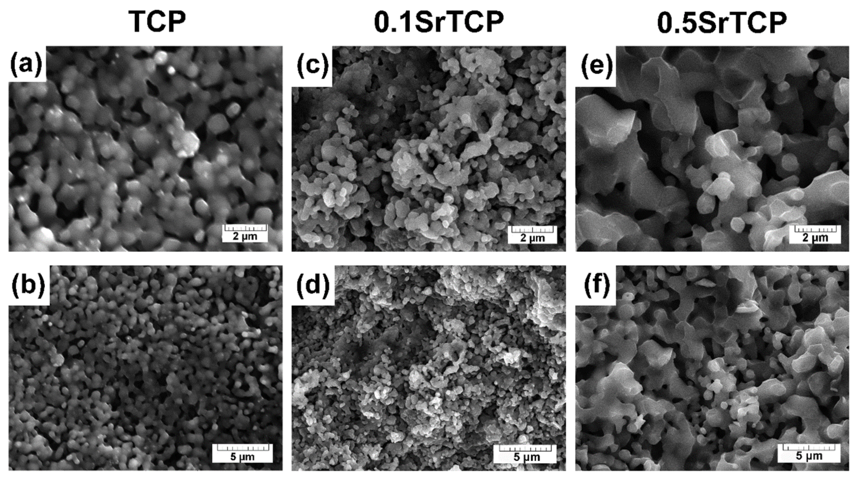 Molecules 27 06085 g004 Molecules 27 06085 g004