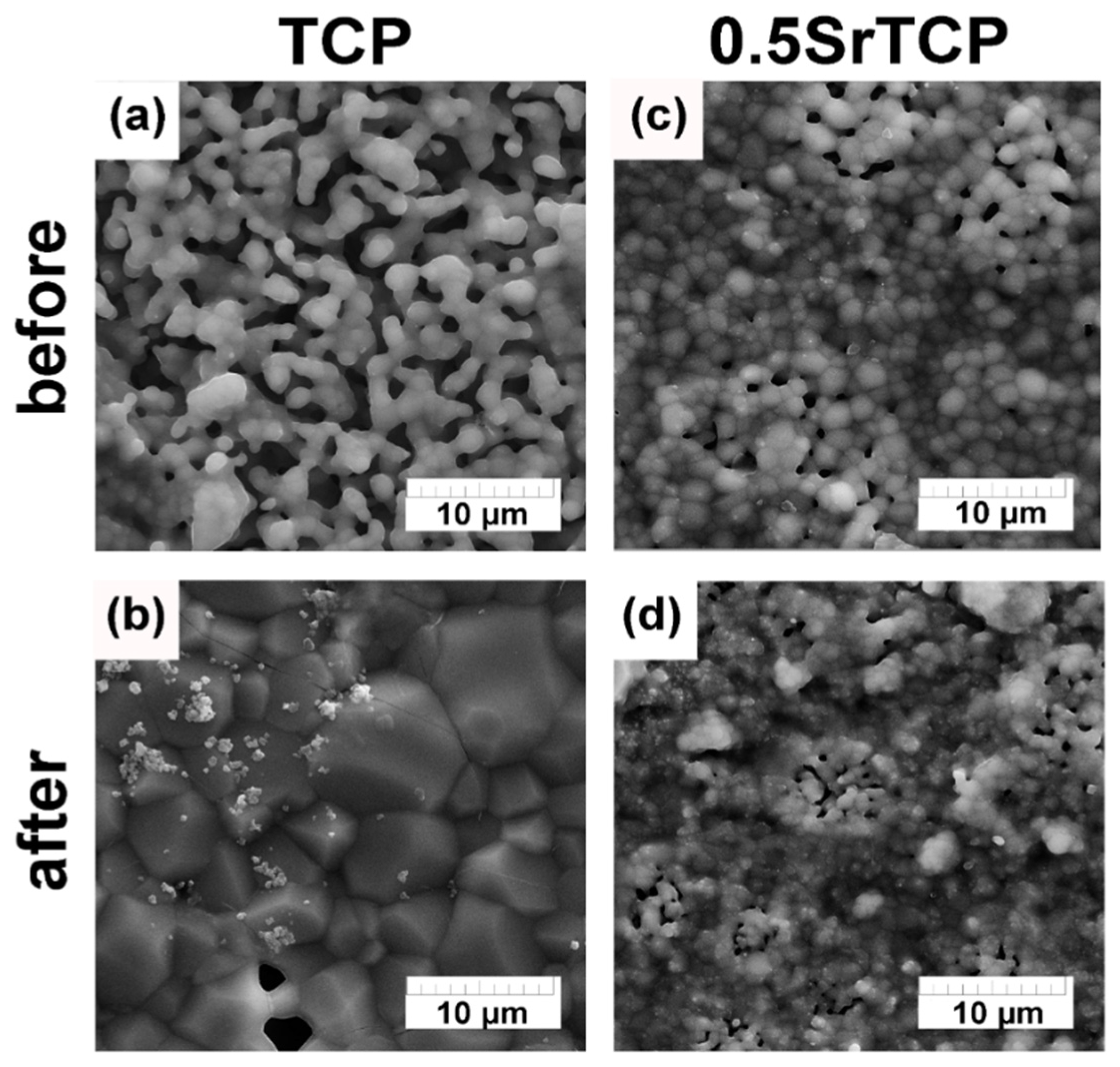 Molecules 27 06085 g008 Molecules 27 06085 g008