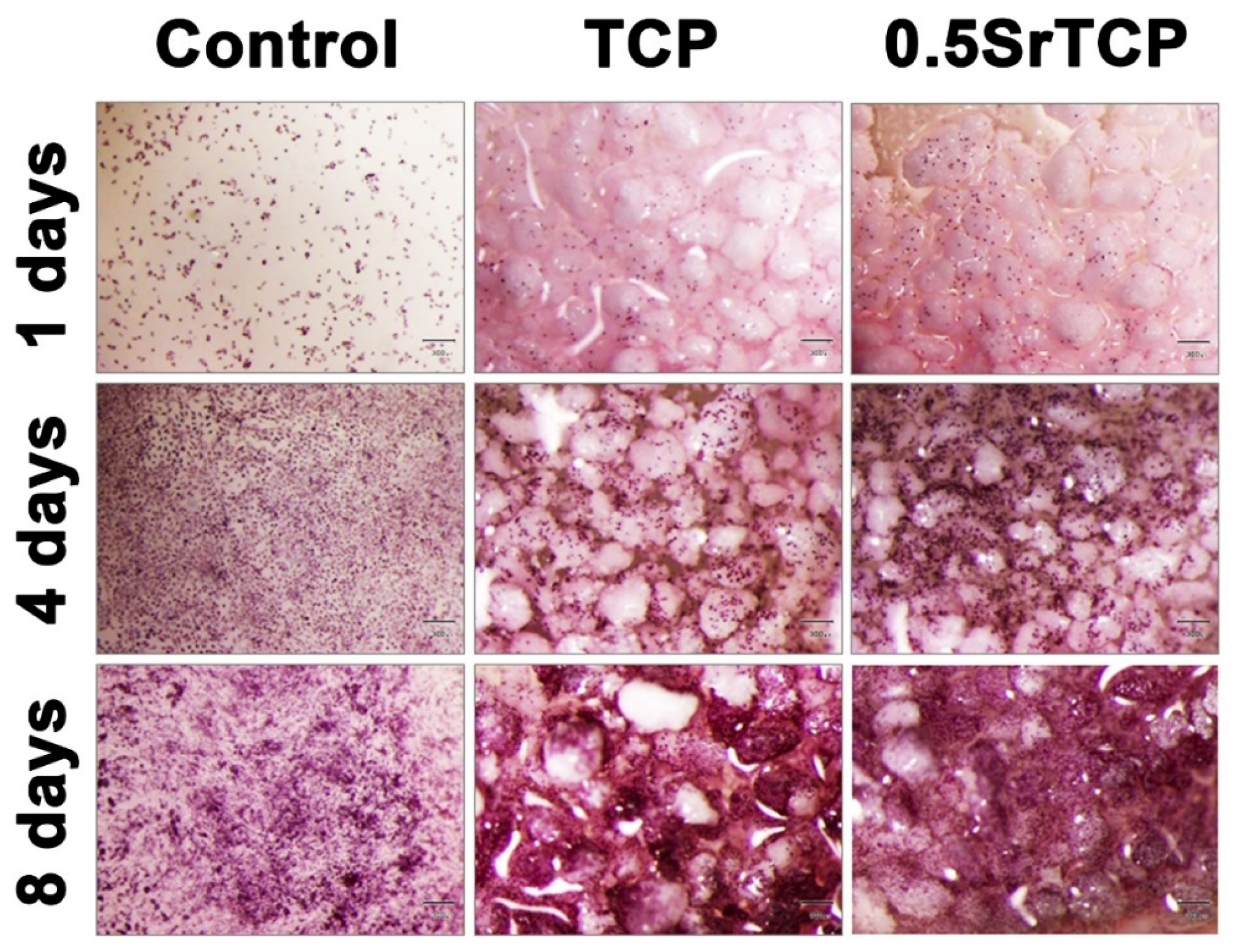 Molecules 27 06085 g009 Molecules 27 06085 g009