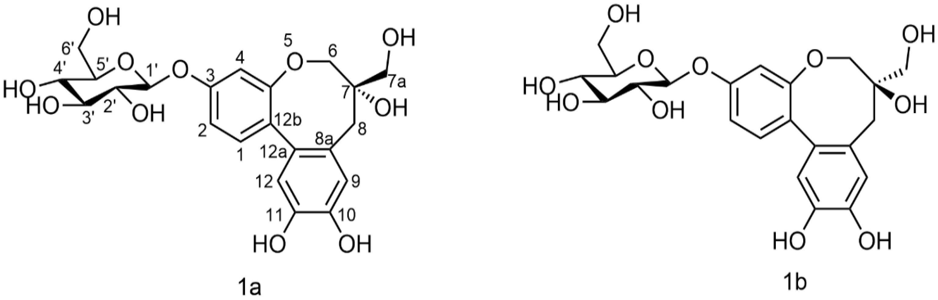 Molecules 27 06090 g002 Molecules 27 06090 g002