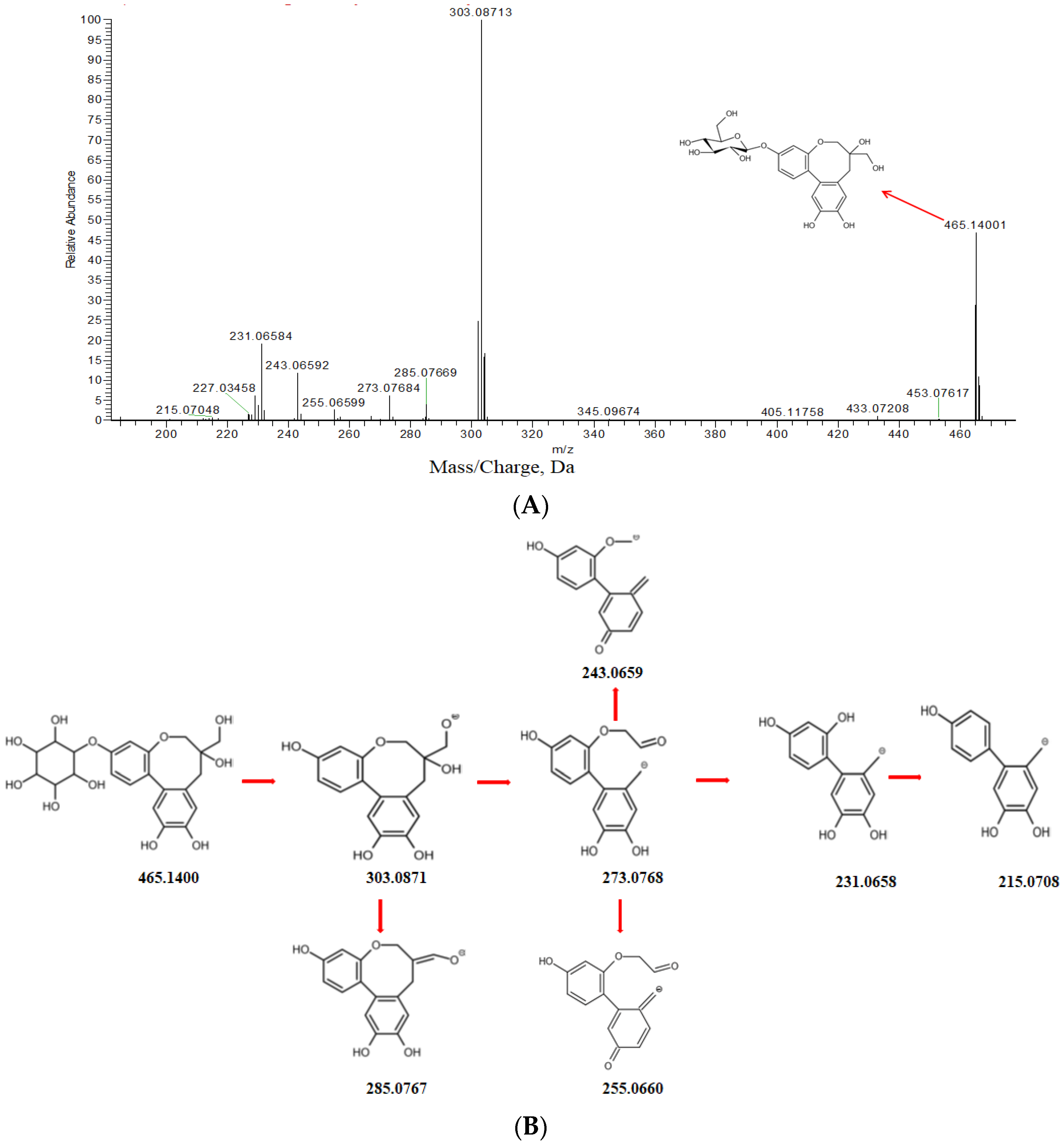 Molecules 27 06090 g005 Molecules 27 06090 g005