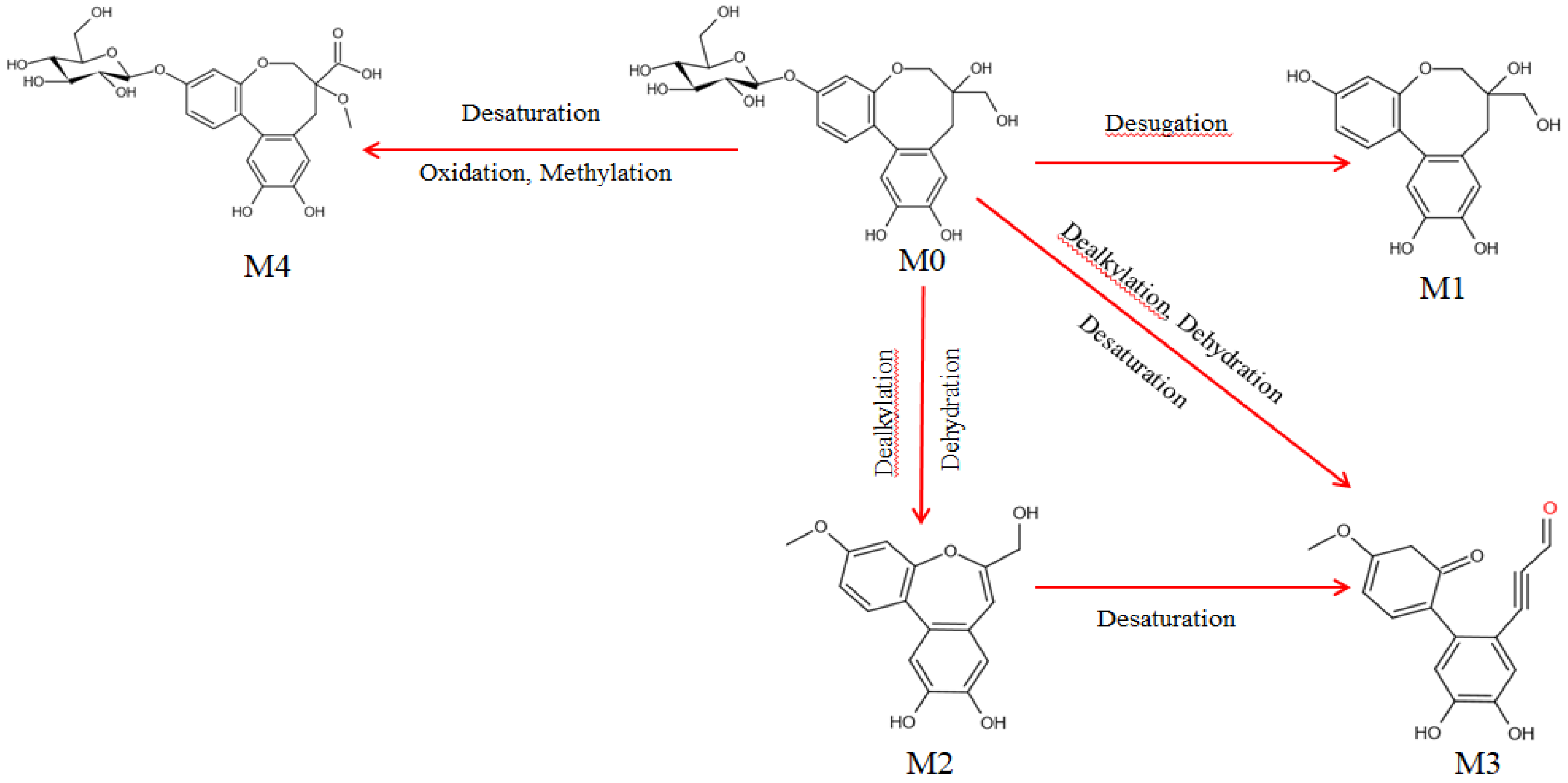 Molecules 27 06090 g006 Molecules 27 06090 g006