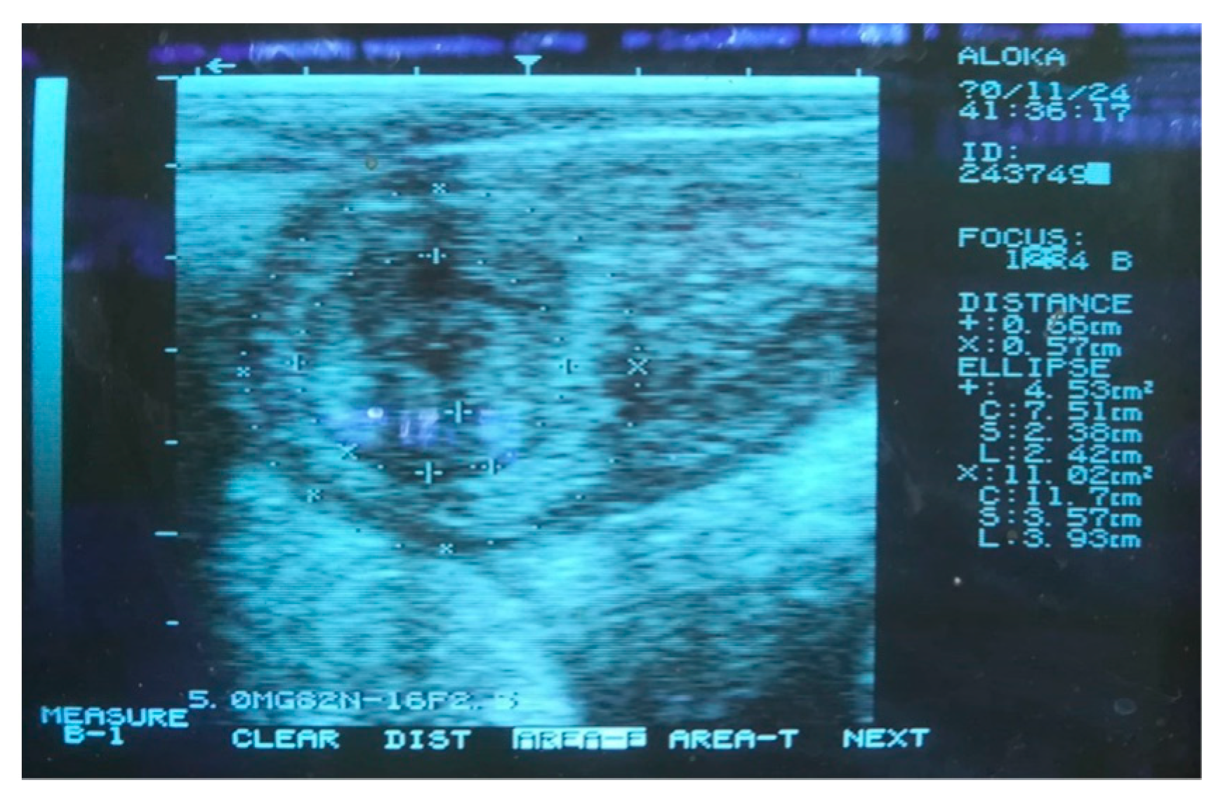 Molecules 27 06092 g005 Molecules 27 06092 g005