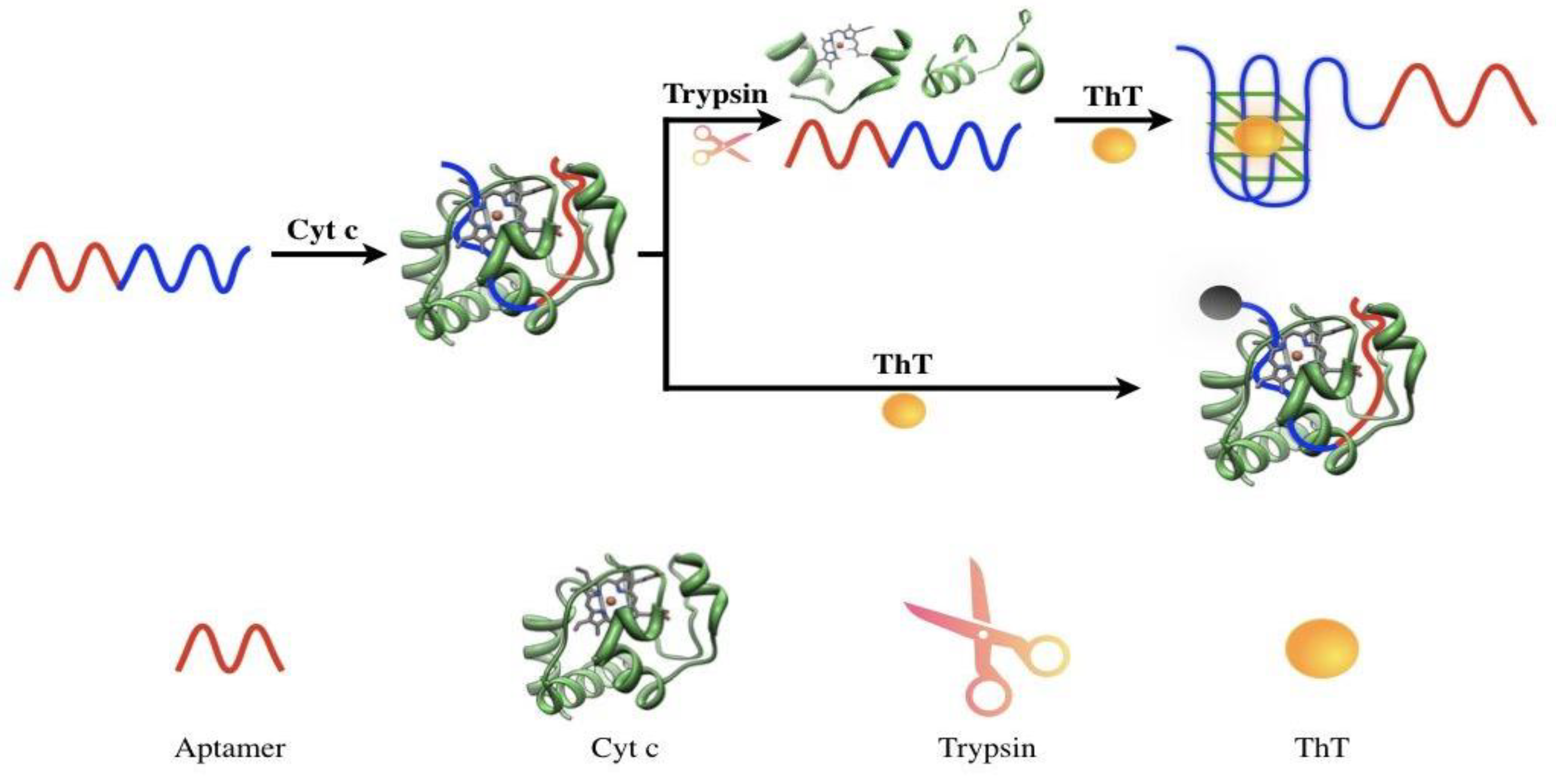 Molecules 27 06093 g001